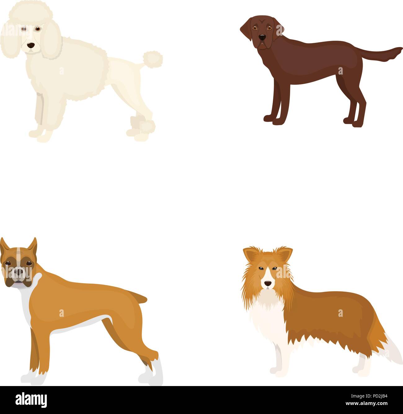Dog breeds cartoon icons in set collection for design.Dog pet vector ...