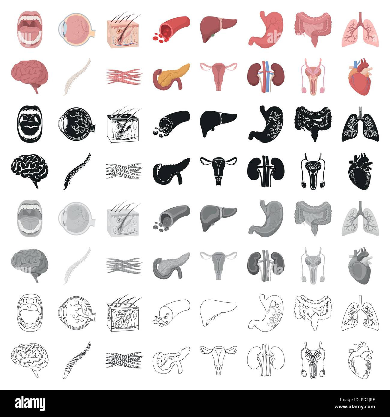 art,boold,brain,cartoon,collection,design,eyeball,gastrointestinal,gray,heart,icon,illustration,isolated,kidney,liver,logo,lungs,male,mouth,muscle,organs,pancreas,reproductive,set,skin,spine,stomach,symbol,system,tract,uterus,vector,vessel,web, Vector Vectors , Stock Vector