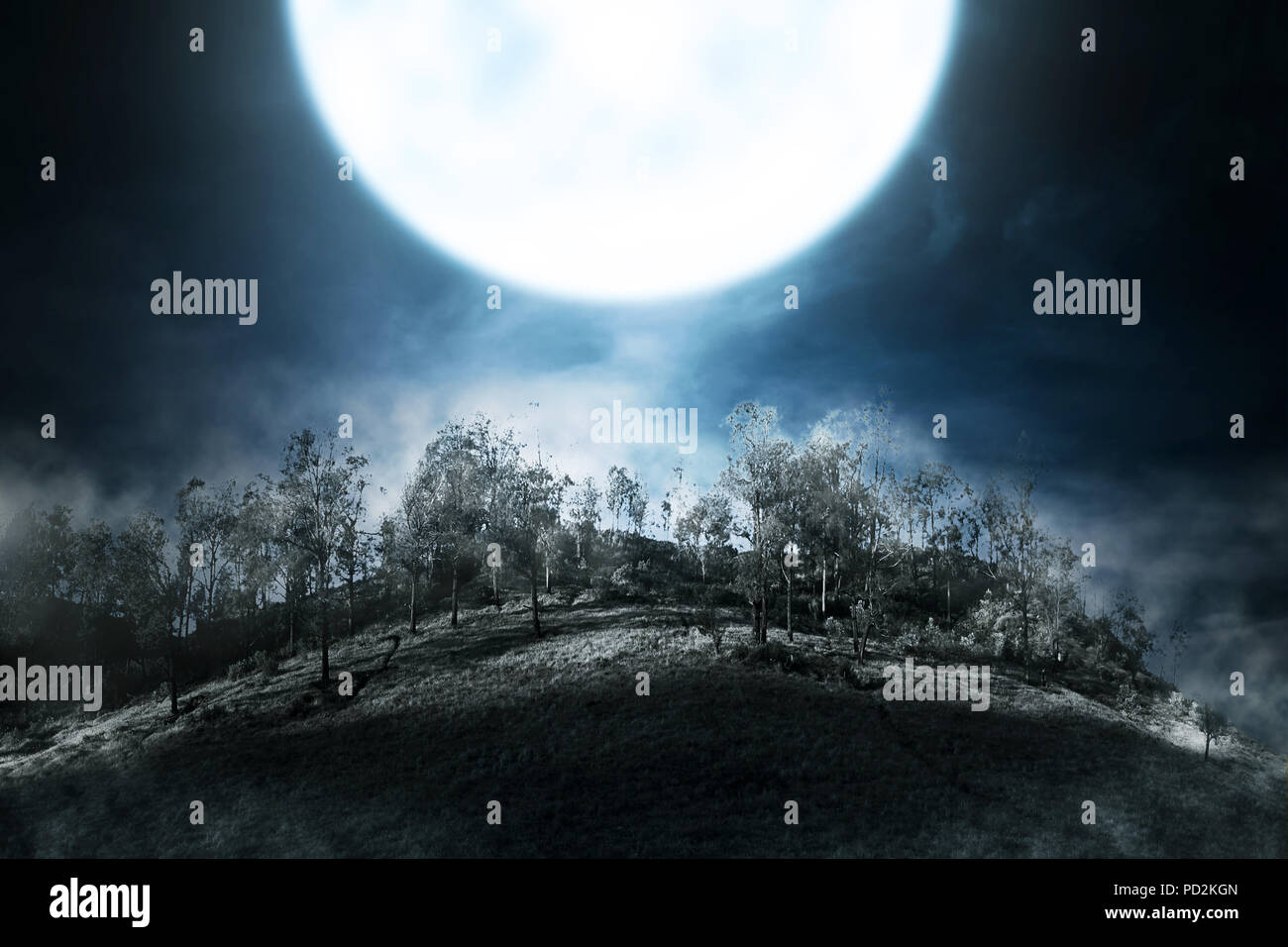 Mysterious dark forest at night with fog and moonlight hi-res stock ...