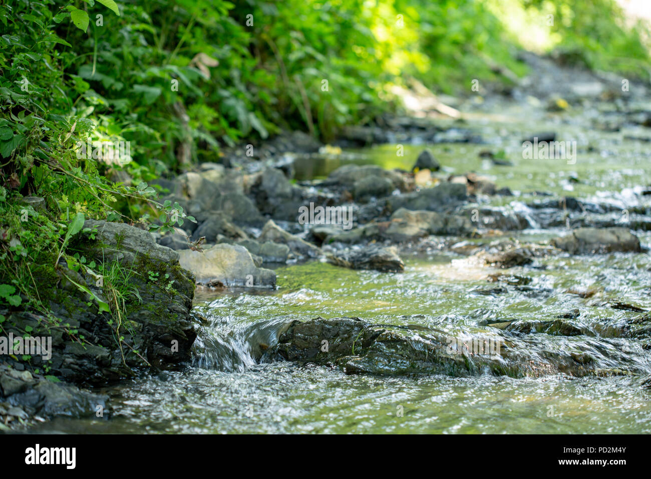Brook among stones in hi-res stock photography and images - Alamy