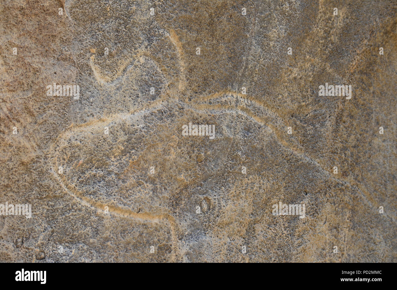 Ancient petroglyphs in Gobustan (Qobustan), Azerbaijan Stock Photo