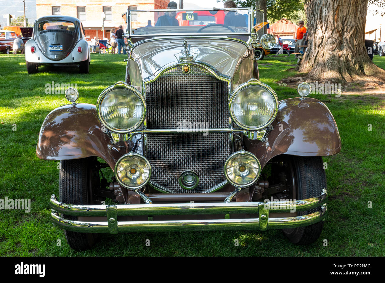 1931 Antique Packard Roadster convertible; Angel of Shavano Car Show, fund raiser for Chaffee County Search & Rescue South, Salida, Colorado, USA Stock Photo
