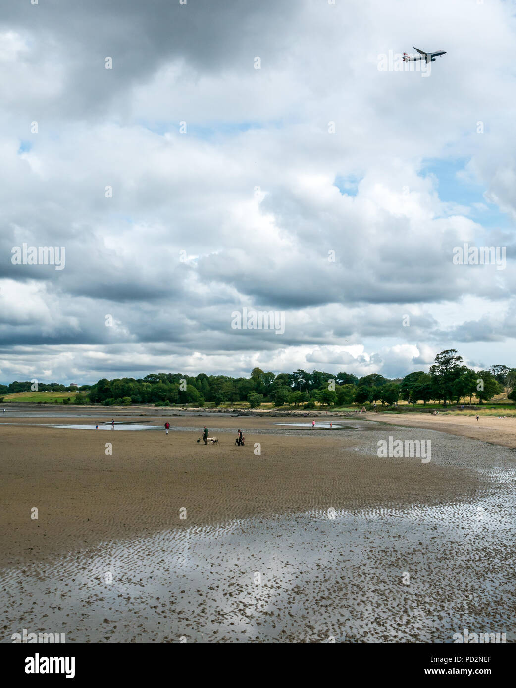 Ba plane beach hires stock photography and images Alamy