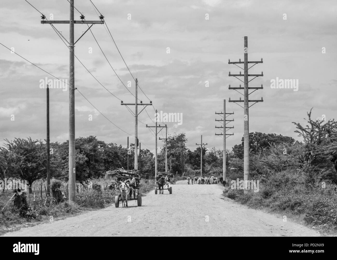 Workers working in the towers for connecting new Power Line distribution for electricity at the rural area of Honduras Stock Photo