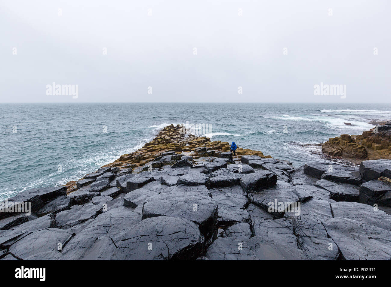 The harsh coastline of Staffa Island Stock Photo