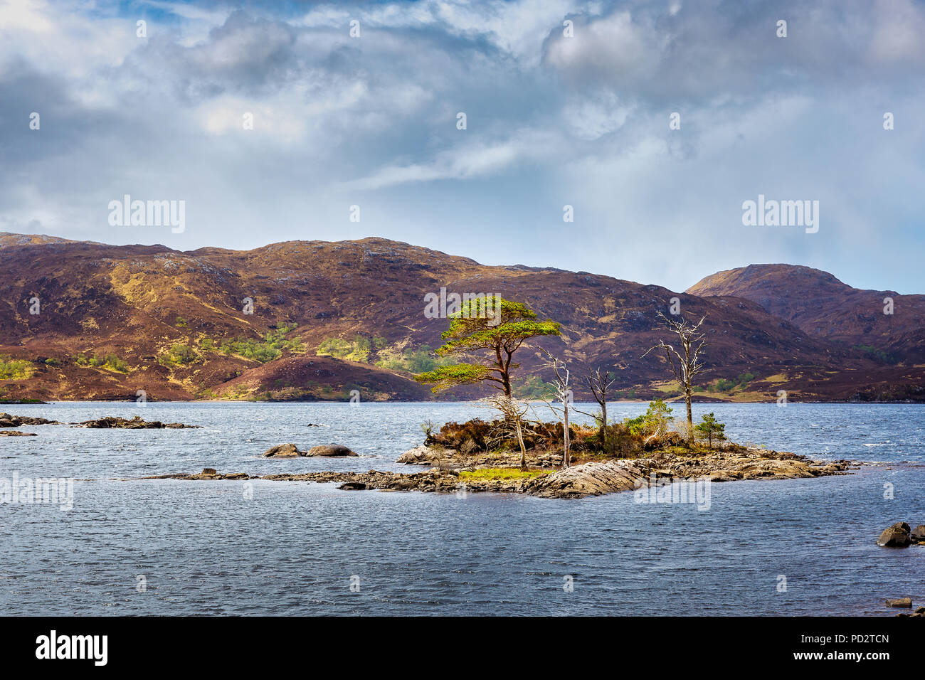 Little islands of Loch Assynt in the scottish highlands near Ardvreck Castle Stock Photo