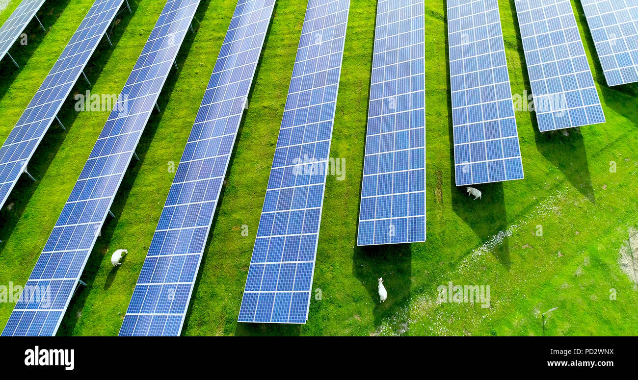 Solar panels in aerial view Stock Photo - Alamy