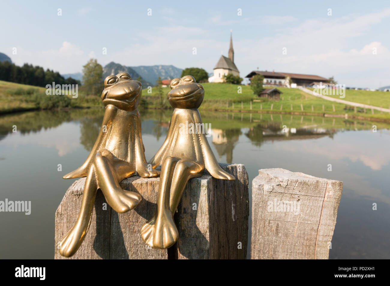 Love Frogs High Resolution Stock Photography and Images Alamy