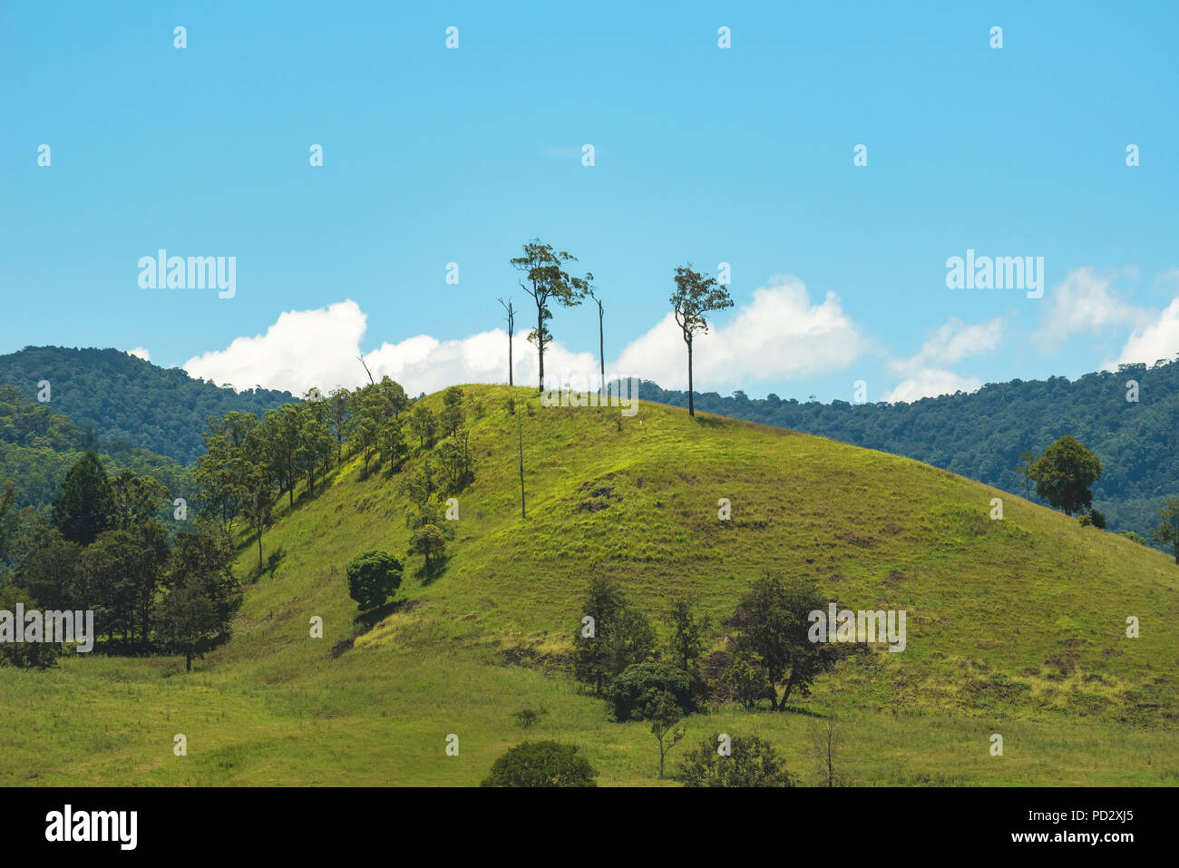 Near Nimbin, New South Wales Stock Photo