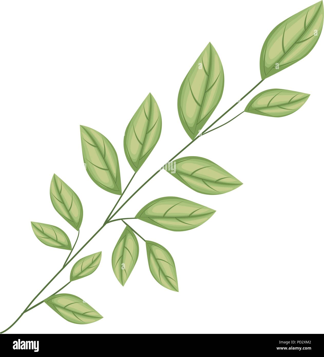 branch with leafs ecology icon Stock Vector Image & Art - Alamy