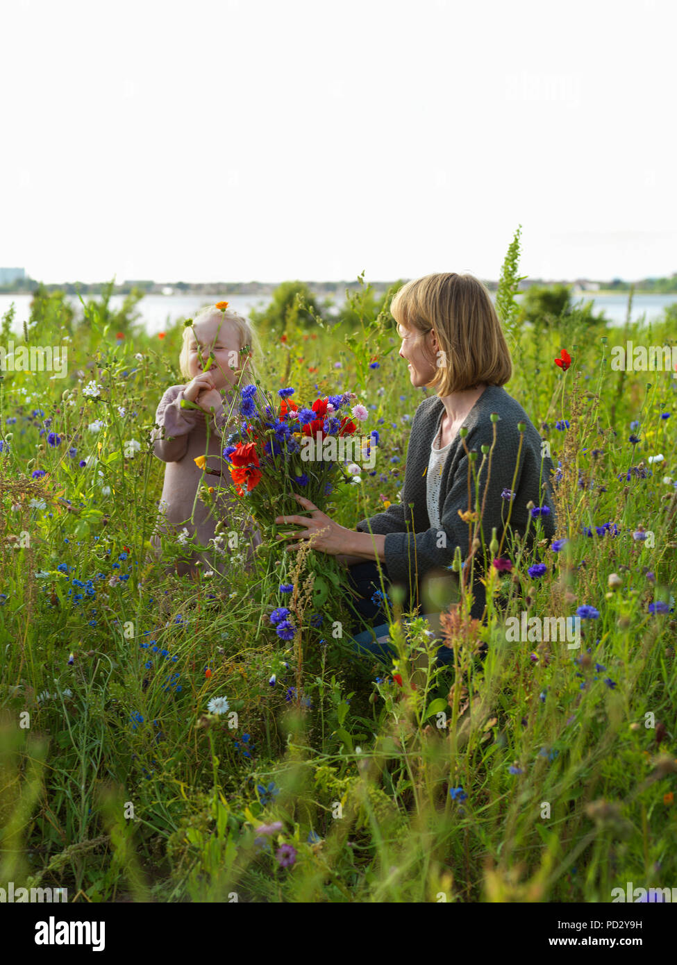 Mother and daughter in wildflower field by lake, Copenhagen, Hovedstaden, Denmark Stock Photo