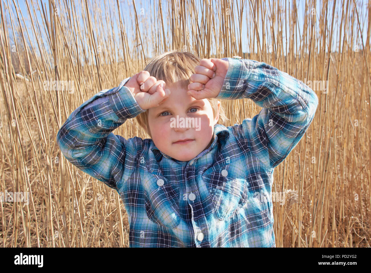 Boy with hands raised in reeds, portrait Stock Photo