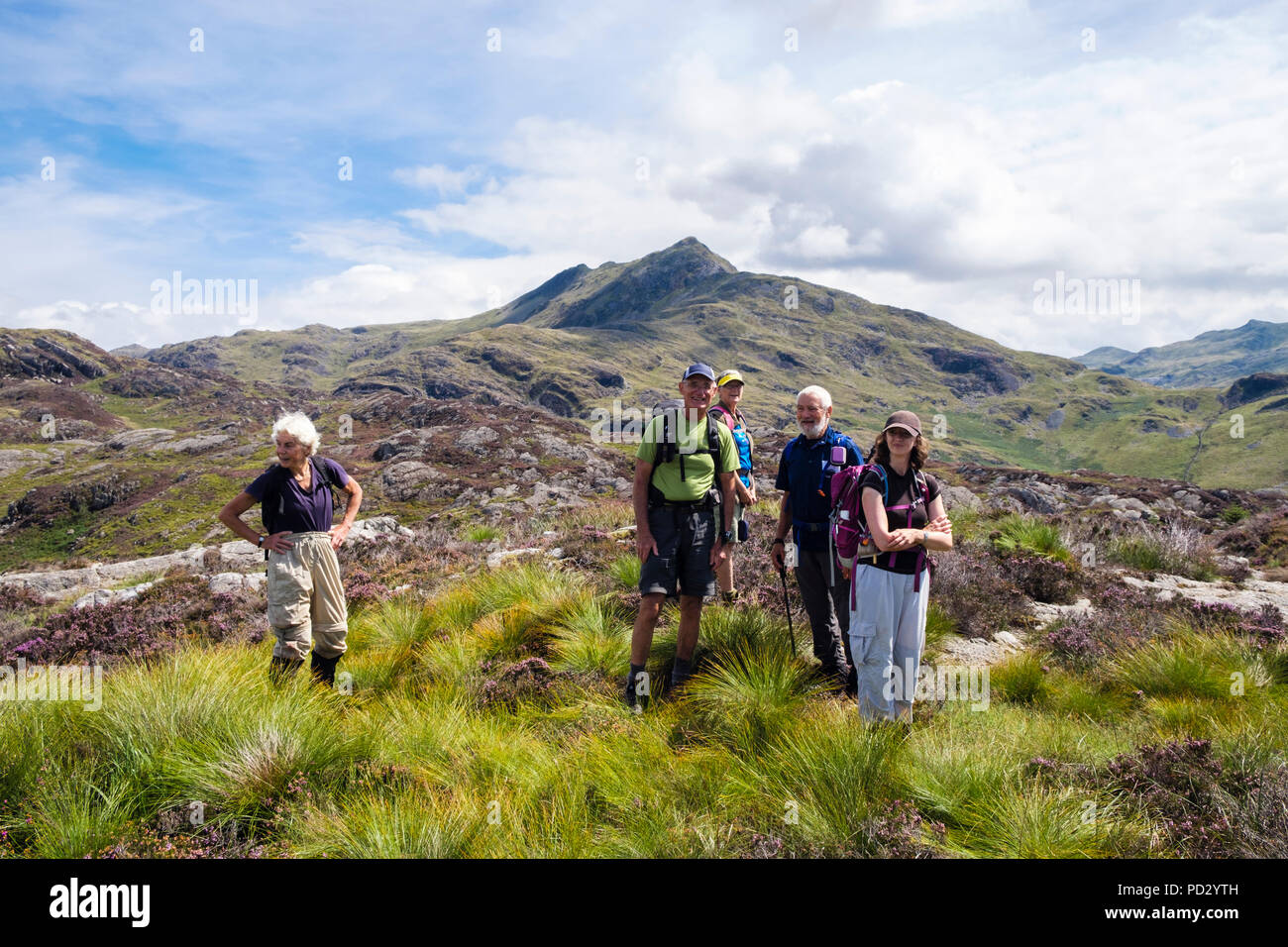 Happy hikers on Yr Arddu with Cnicht mountain behind in Moelwyn hills of Snowdonia National Park in summer.  Nantmor Gwynedd Wales UK Britain Stock Photo