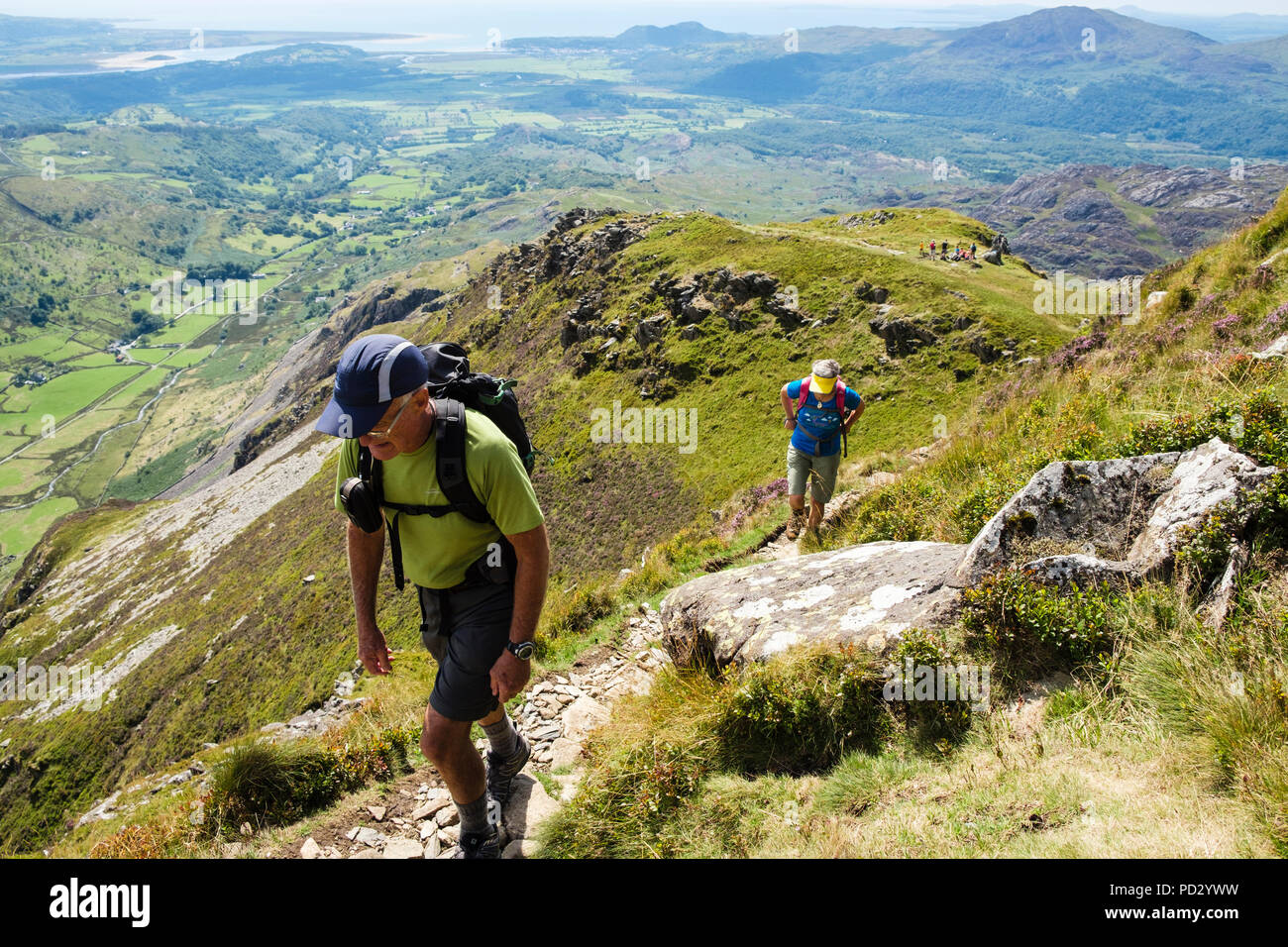 Hikers hiking up Cnicht mountain in Moelwyn mountains of Snowdonia National Park with view to coast in summer. Croesor, Gwynedd, Wales, UK, Britain Stock Photo