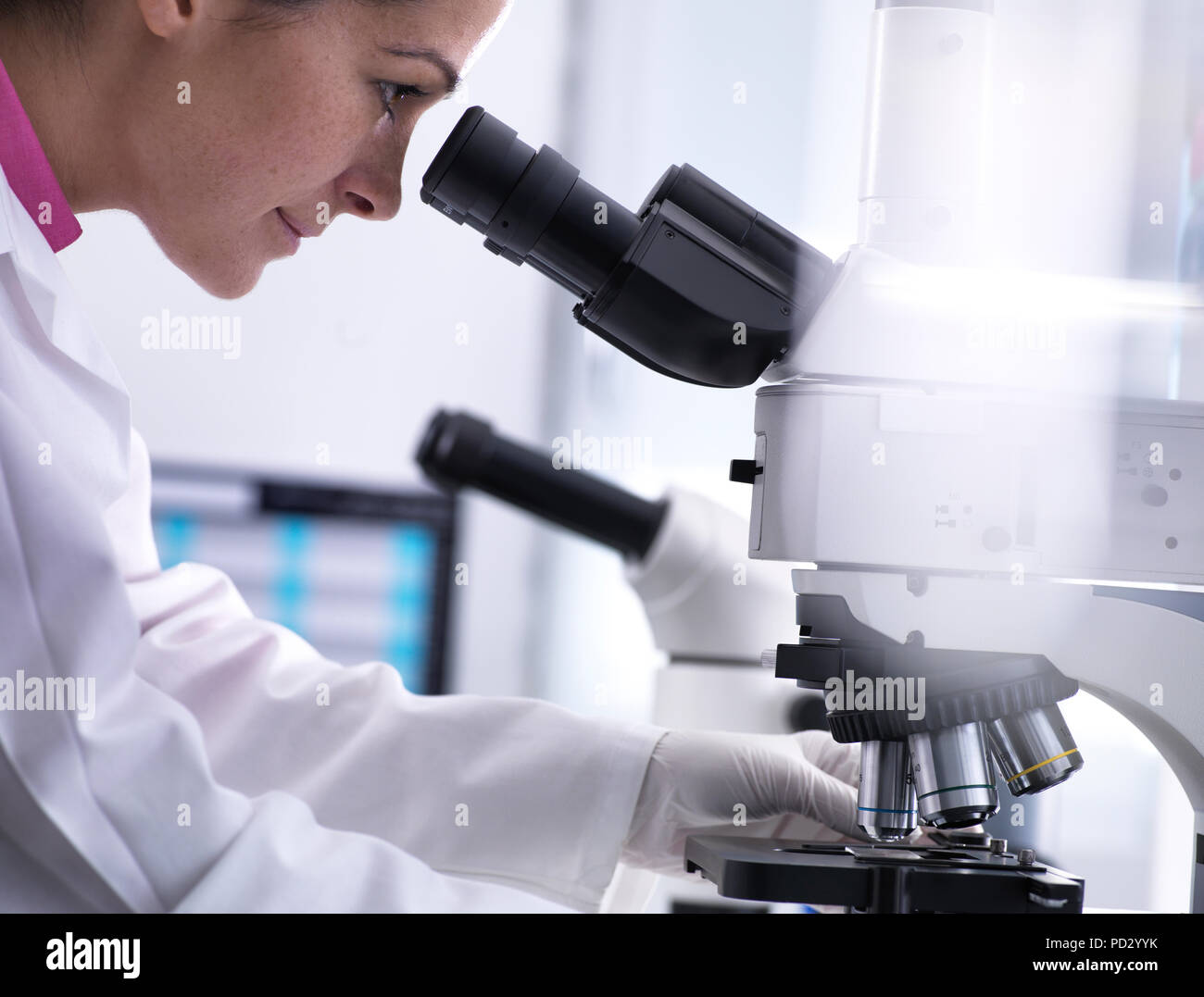 Scientist viewing human sample on glass slide under microscope Stock