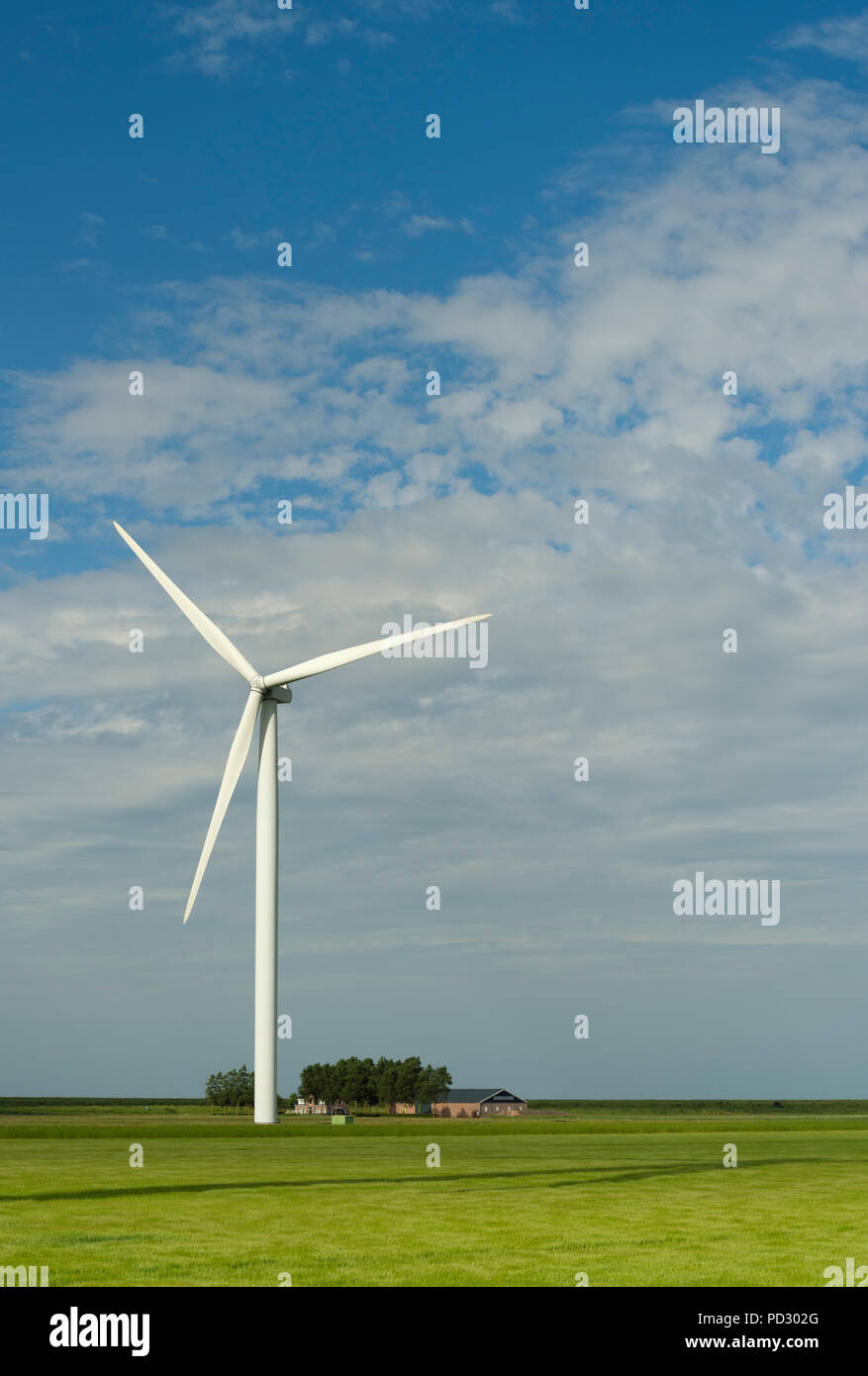 Wind turbine on farmland, Kamperland, Zeeland, Netherlands Stock Photo