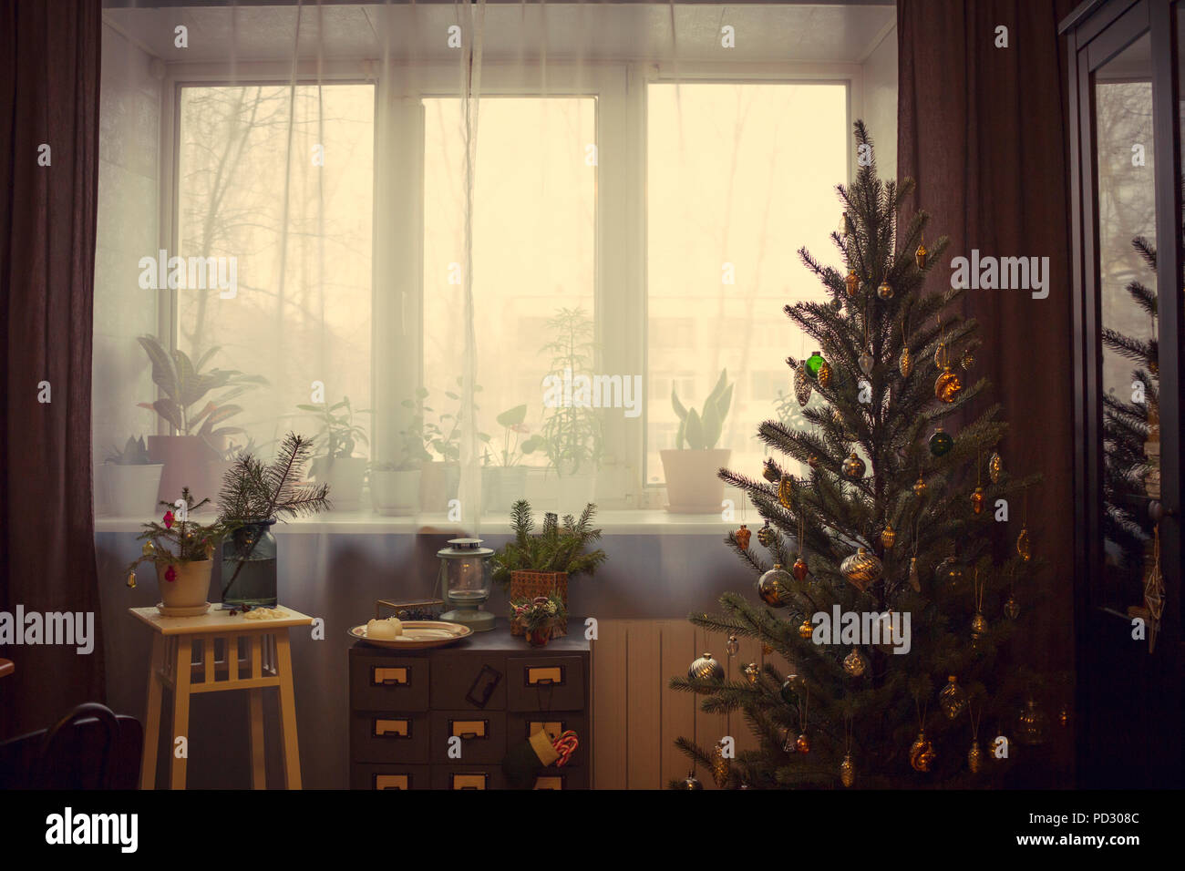 Christmas tree and potted plants by window Stock Photo
