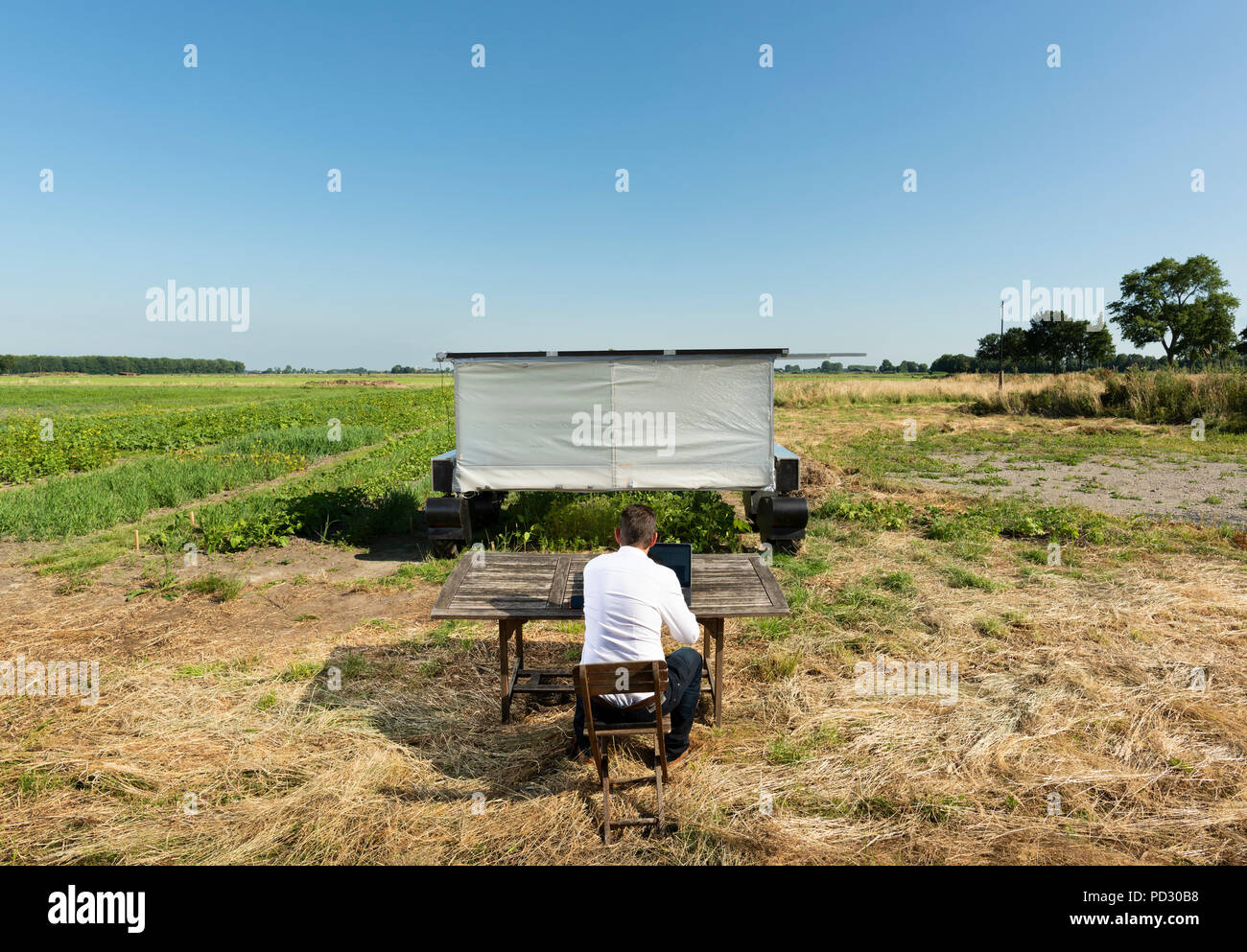 Man checking on robot monitoring crops and flowers on agricultural site in pixelfarming research Stock Photo