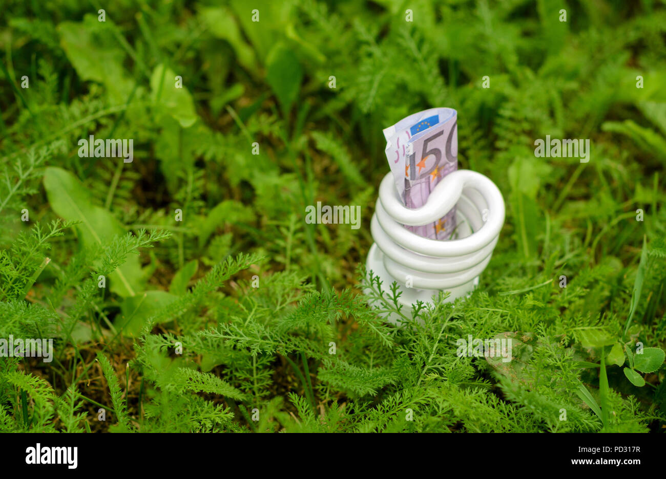Energy-saving lamp and inserted into it the Euro banknote. Stock Photo
