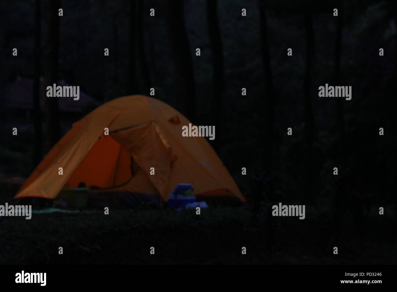 Tent forest hi-res stock photography and images - Alamy