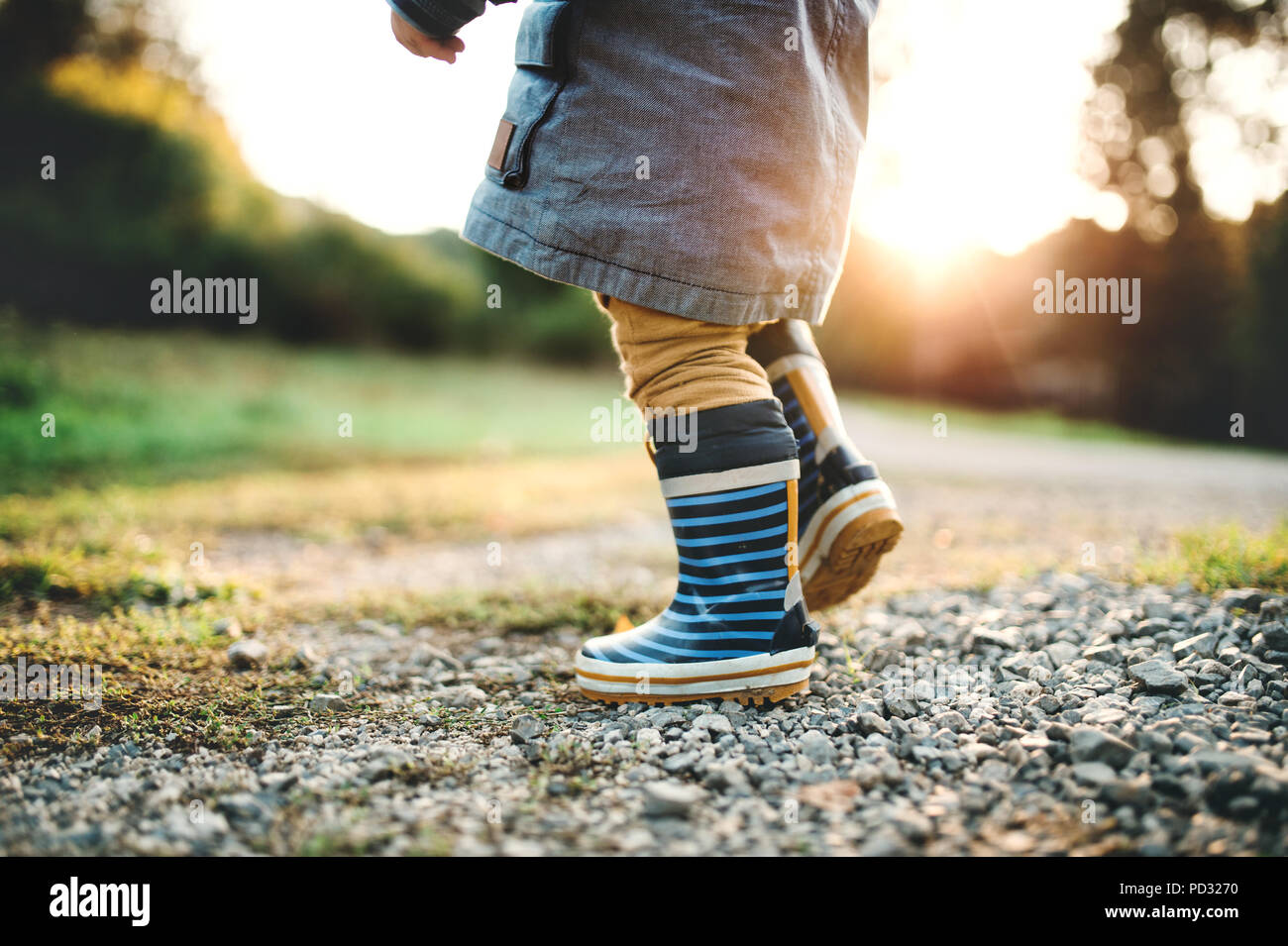 A little toddler boy walking outdoors in nature at sunset. Rear view. Stock Photo