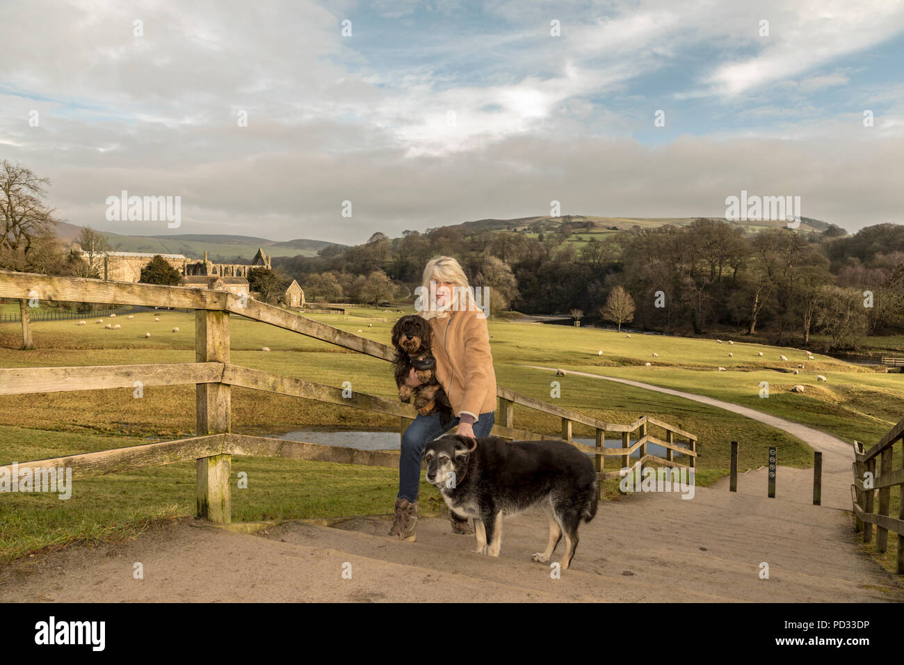 UK Broadcaster and Journalist Selina Scott Stock Photo