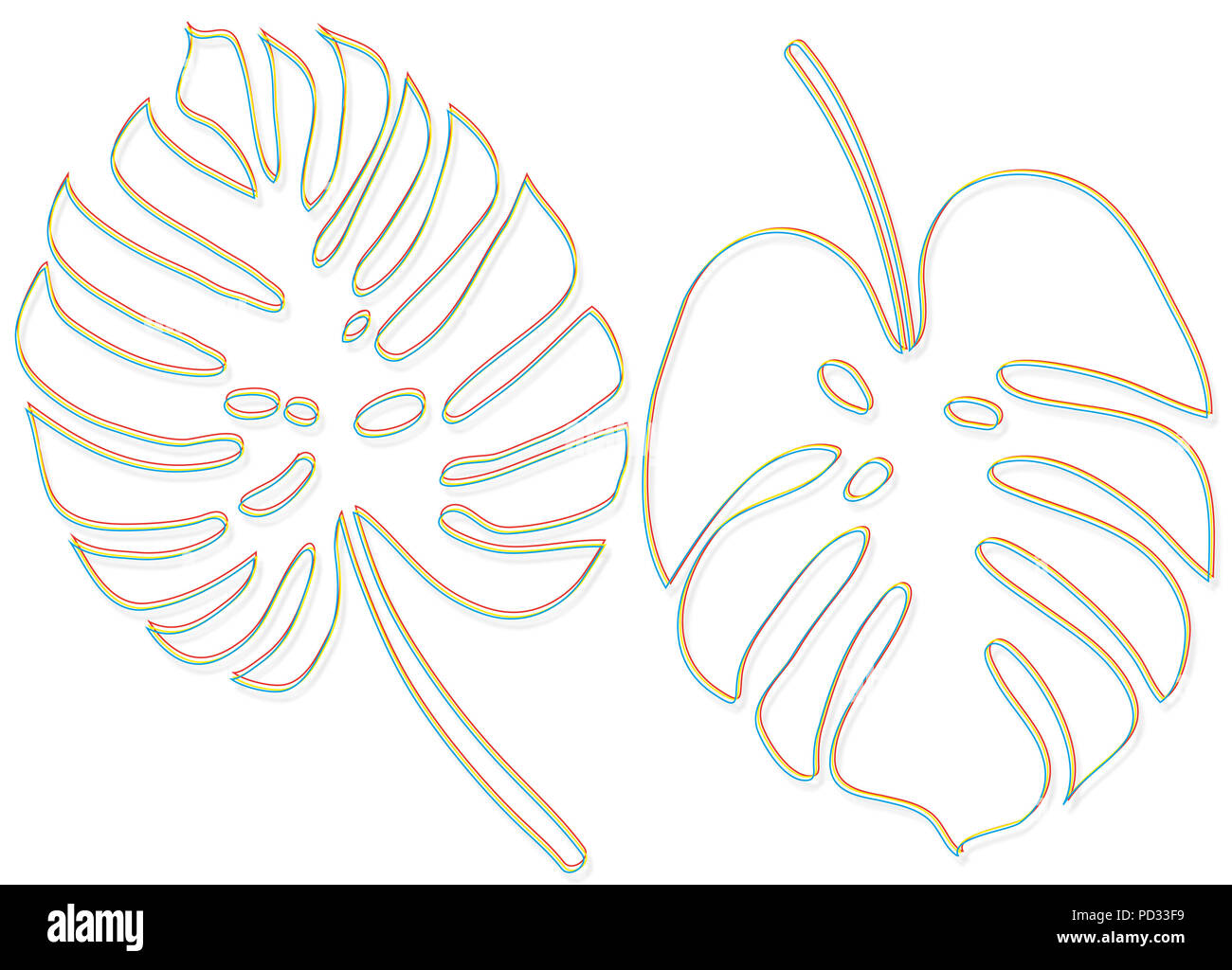 A outline draw of leaves of monstera in three colors: red, yellow, blue