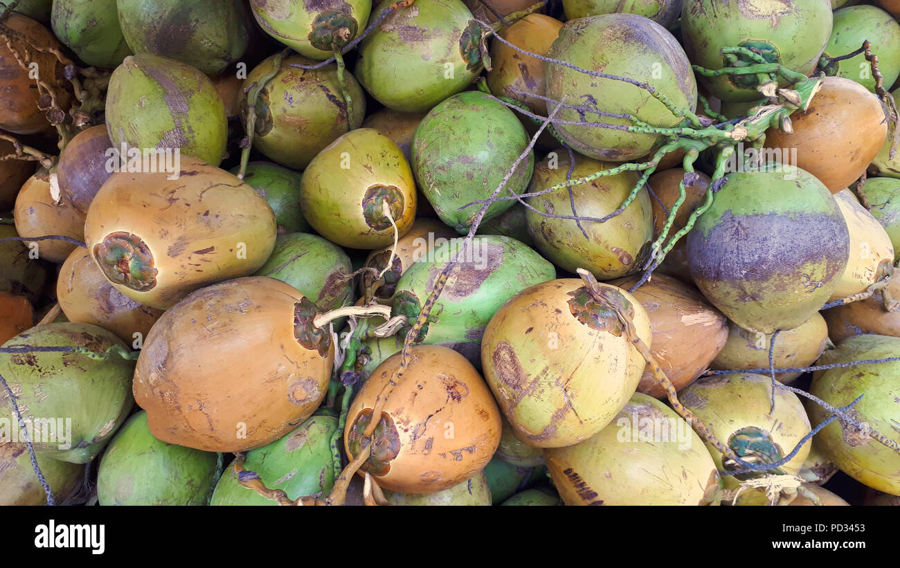 A mountain of fresh coconuts in different colors on a market square in