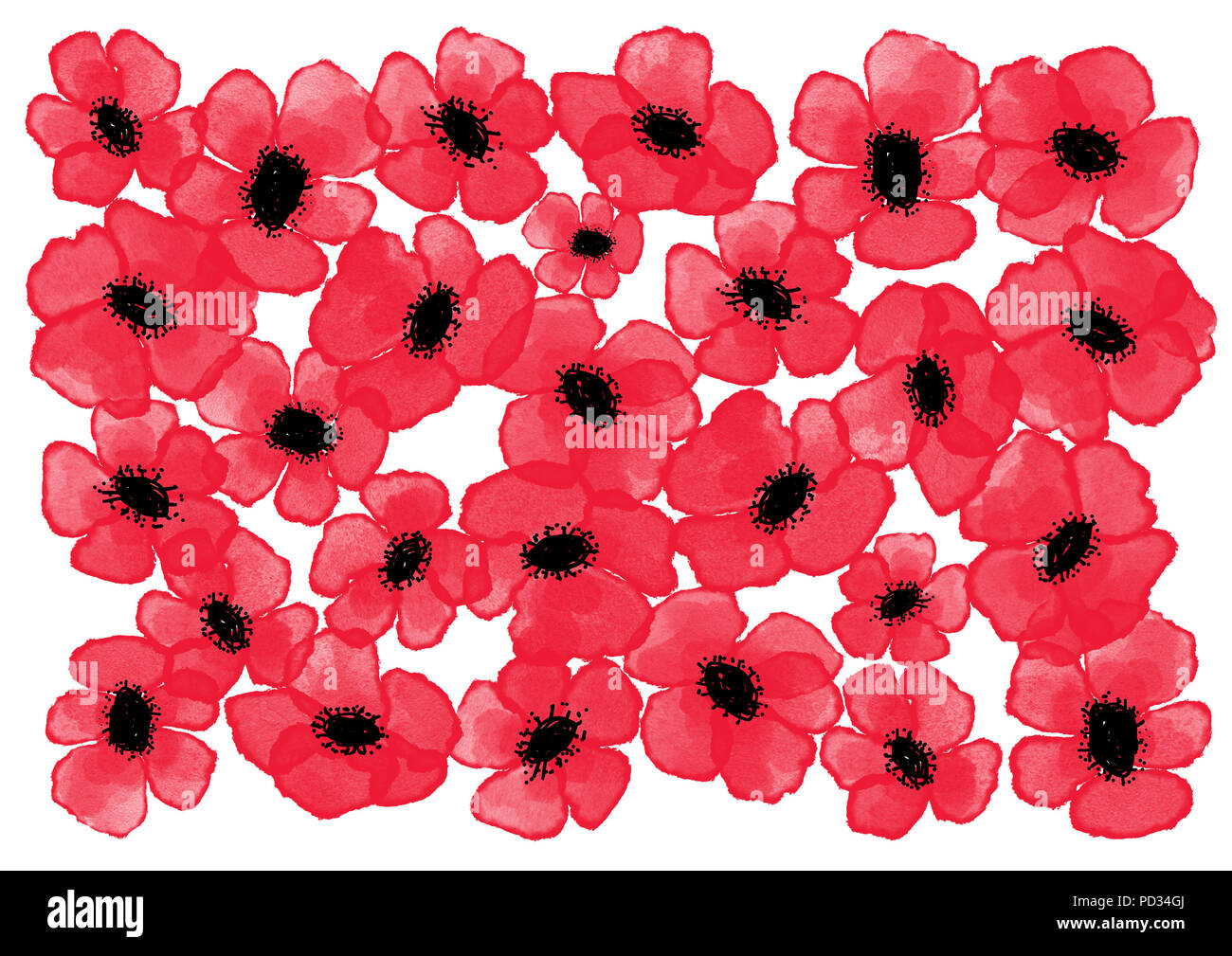 Digital watercolor poppies background - invitation, poster theme in intensive red color on the white background Stock Photo