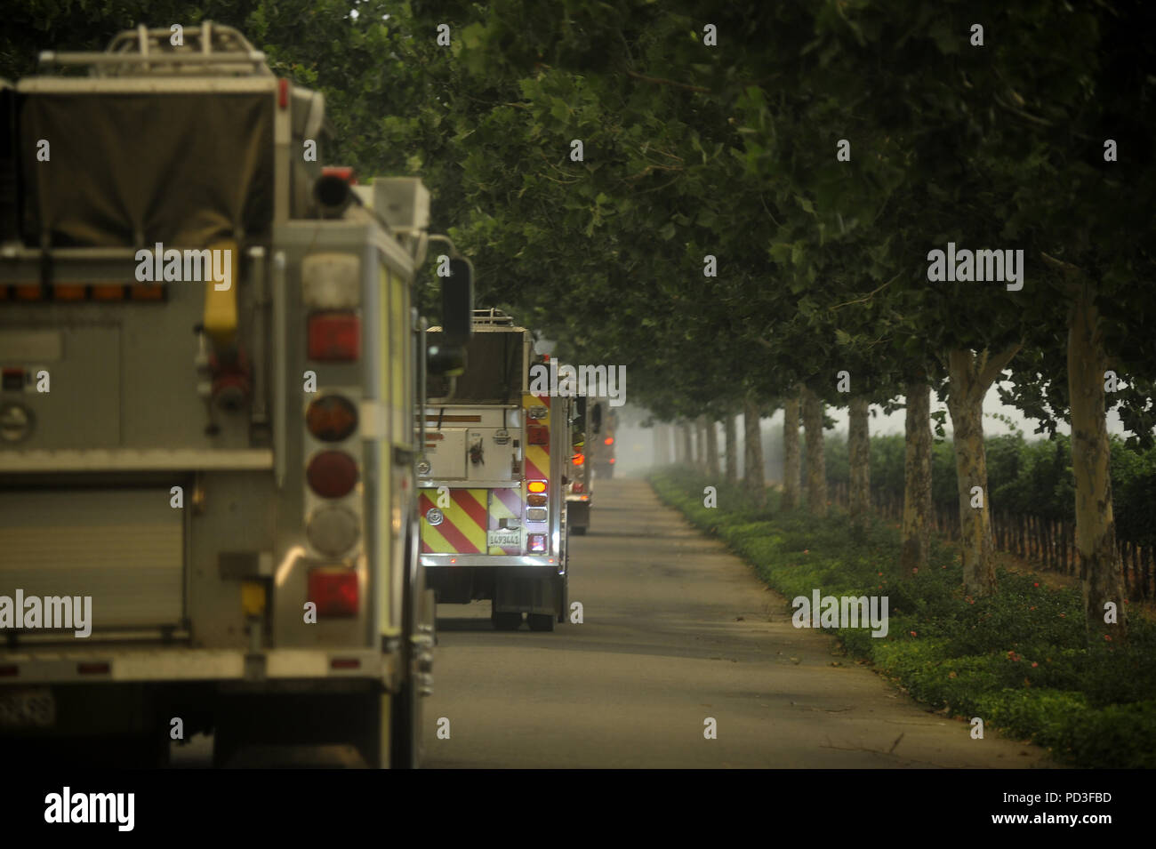 Ukiah, California, USA. 6th Aug, 2018. Ukiah, California, U.S. - A convoy of fire trucks makes their way down the driveway to Brassfield Estate winery north of Clearlake Oaks. The Ranch fire was burning due north of the estate and its vineyards. Credit: Neal Waters/ZUMA Wire/Alamy Live News Stock Photo