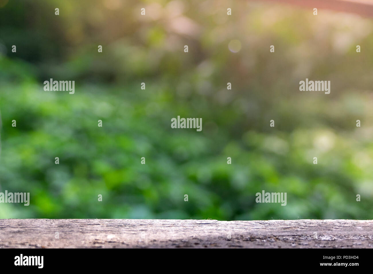 Empty wooden table with free space and  blurred green tree bokeh background, Template mock up for display montages of product. Stock Photo