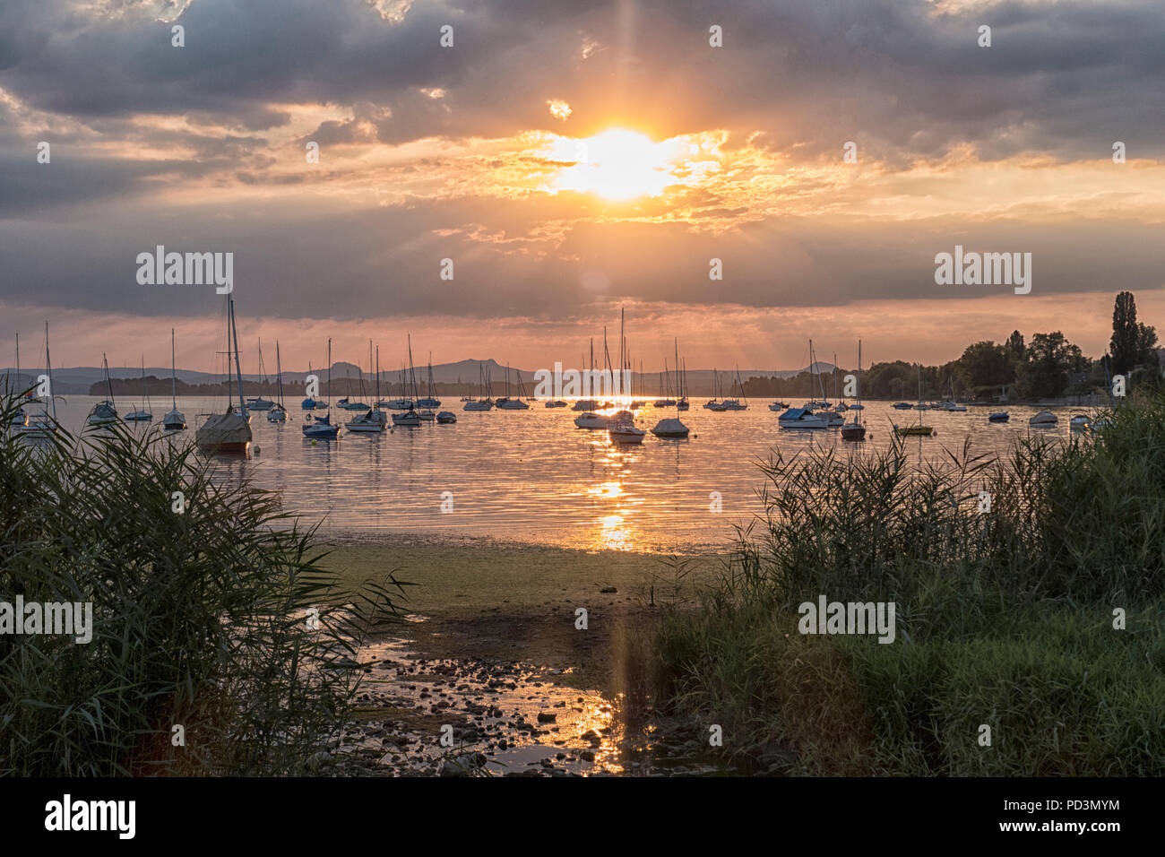 Sailing boats on Untersee, sunset, Allensbach, Lake Constance, Baden-WÃ¼rttemberg, Germany Stock Photo