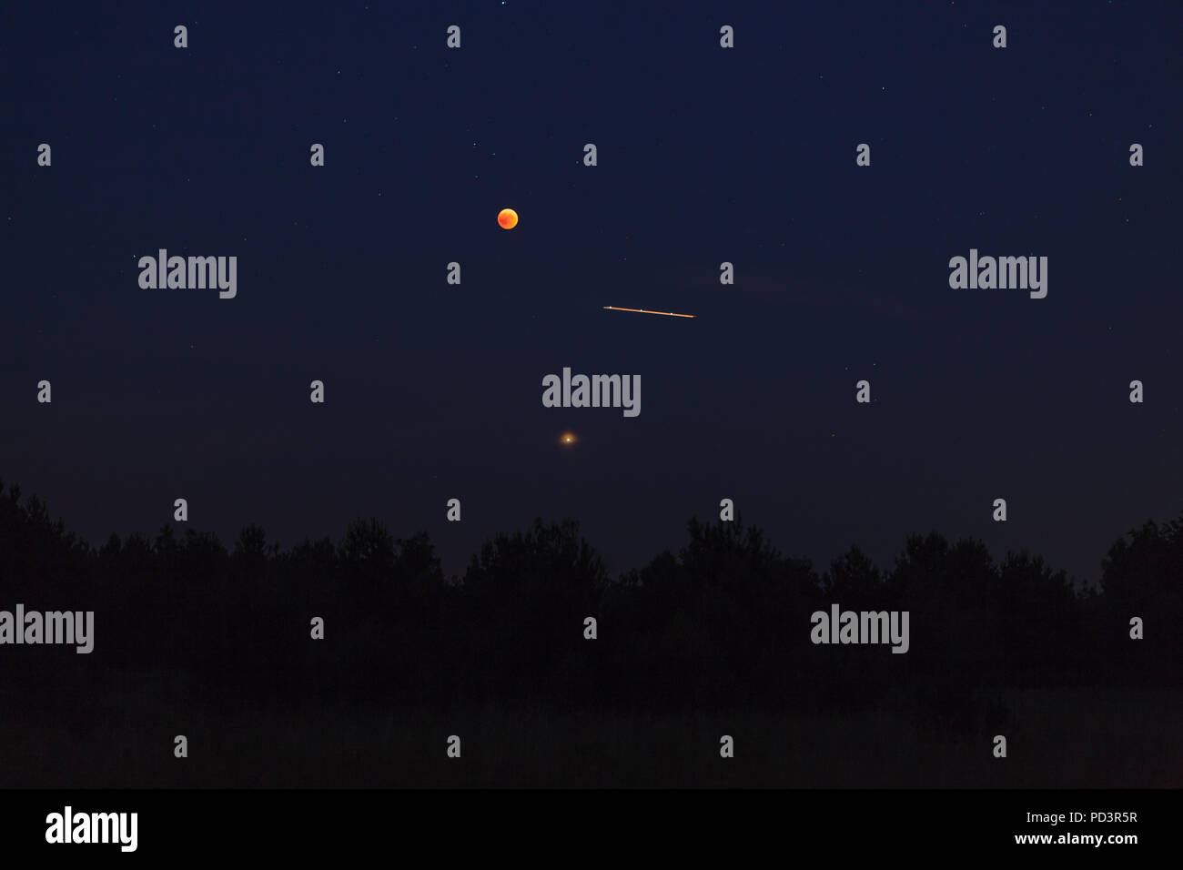 Night sky over forest, visible full eclispse of Moon, Mars in perigee and trace of airplane Stock Photo