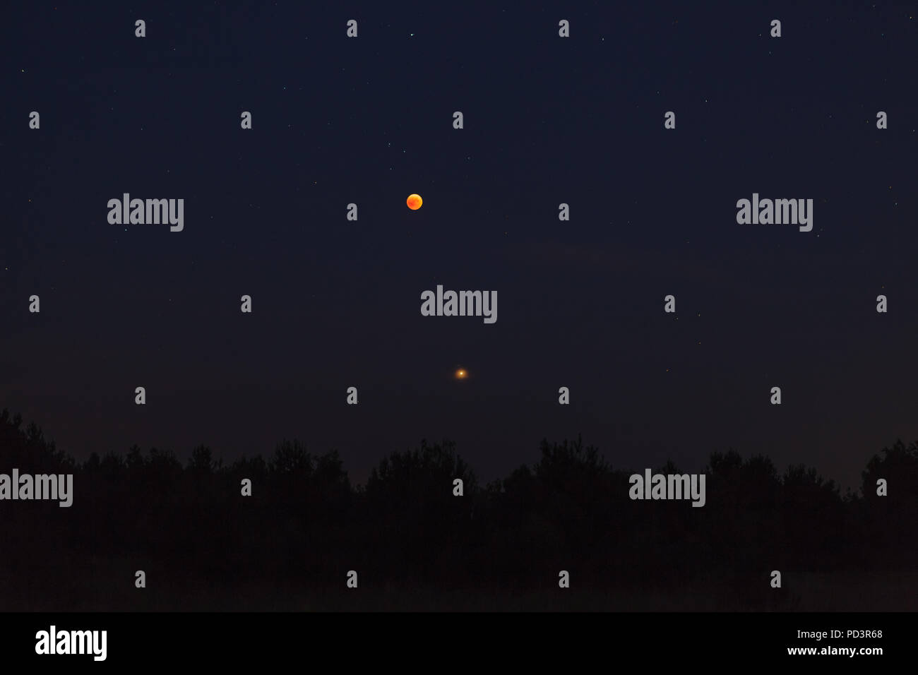 Night sky over forest, visible full eclispse of Moon, Mars in perigee Stock Photo