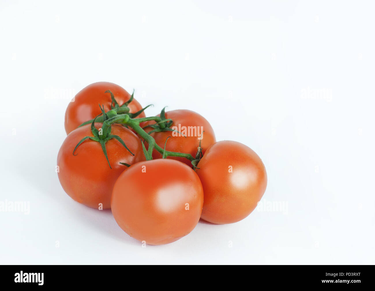 tomatoes on a branch .isolated white background Stock Photo - Alamy