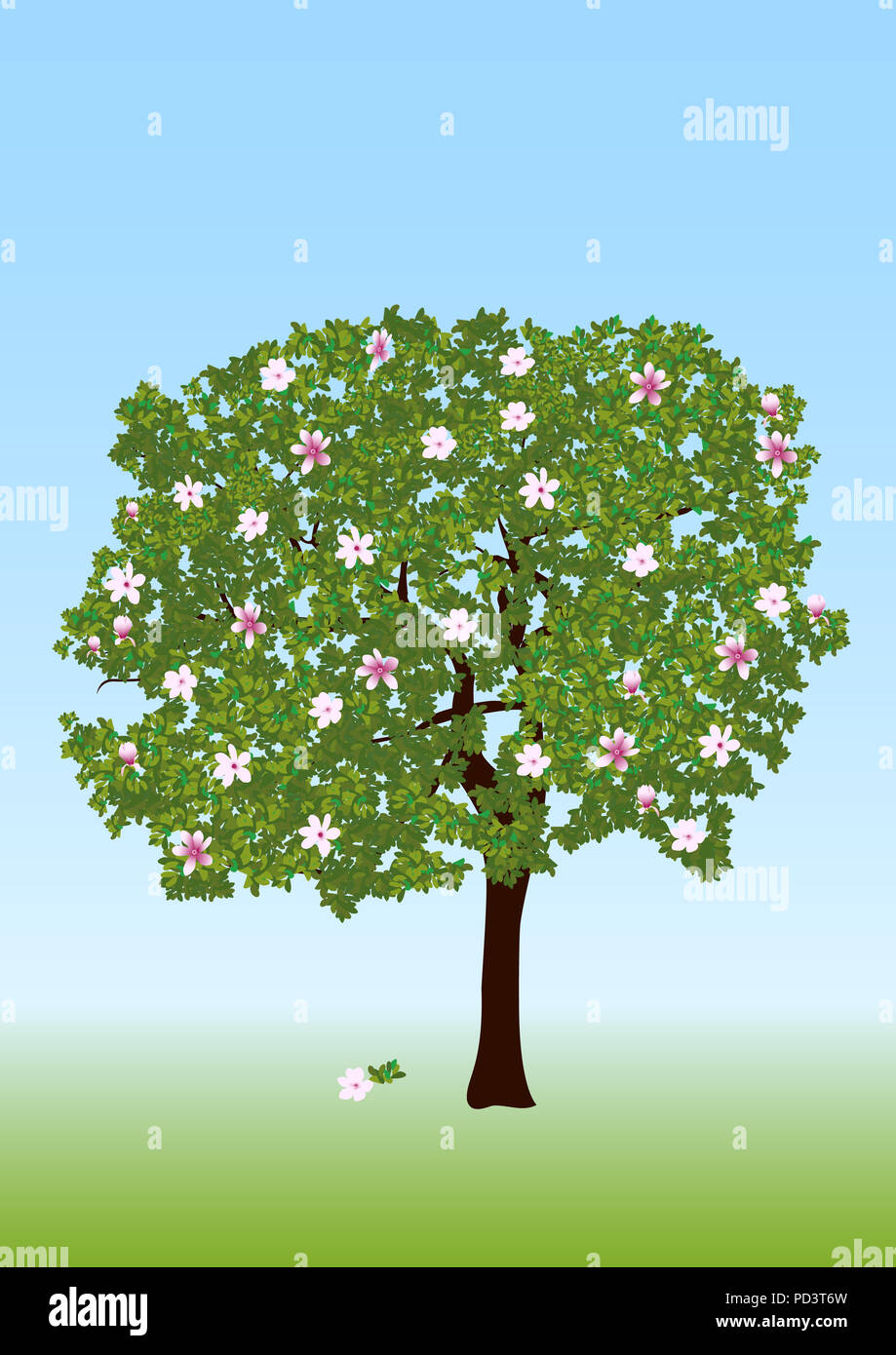 Magnolia vector hi-res stock photography and images - Alamy