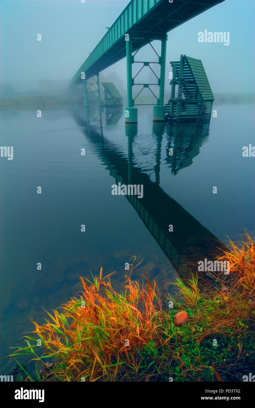 The bridge through the river. Foggy morning Stock Photo - Alamy