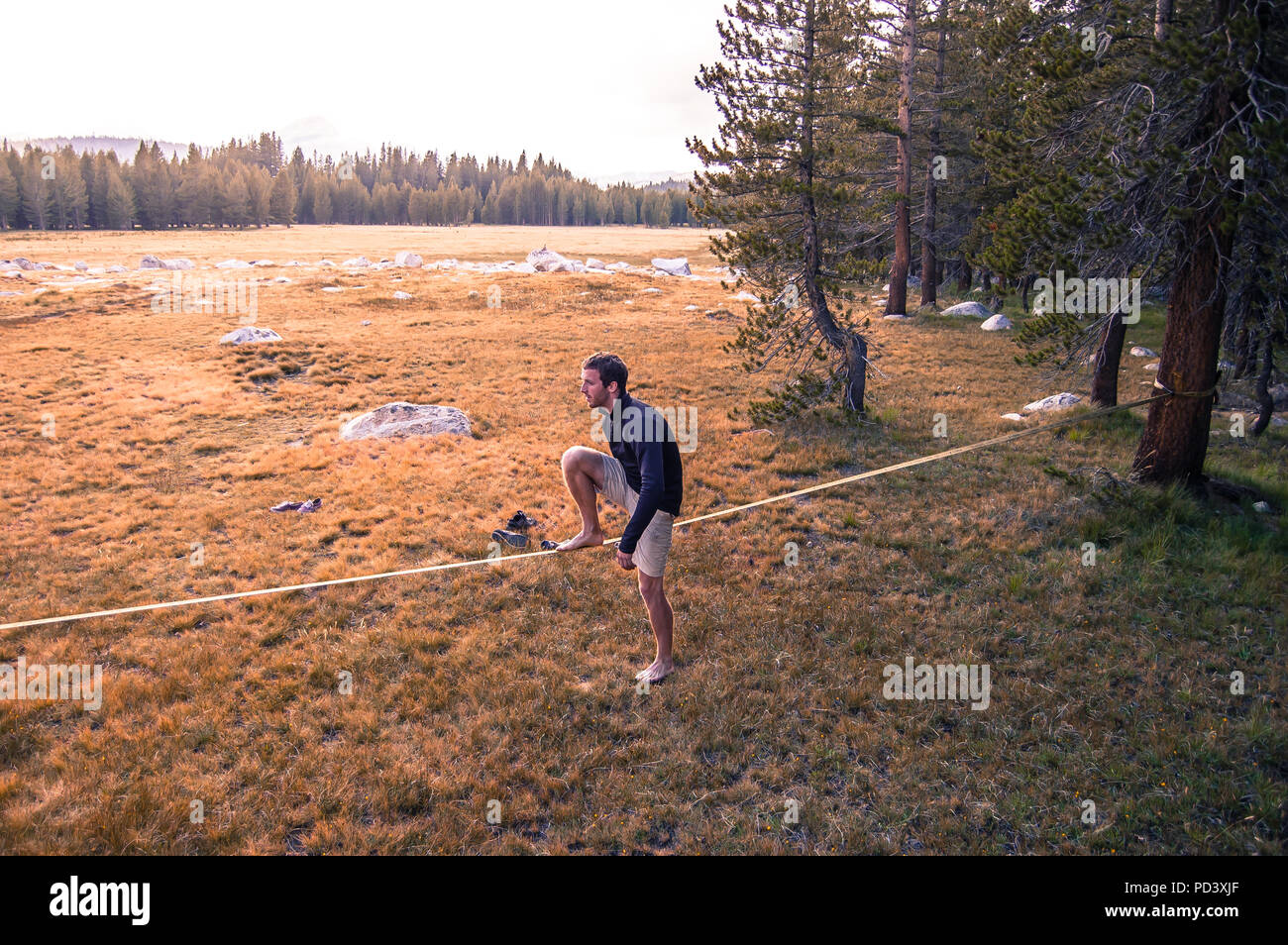 Young man practicing on slack line, Tuolumne Meadows, upper part of the Yosemite National Park, California, USA Stock Photo