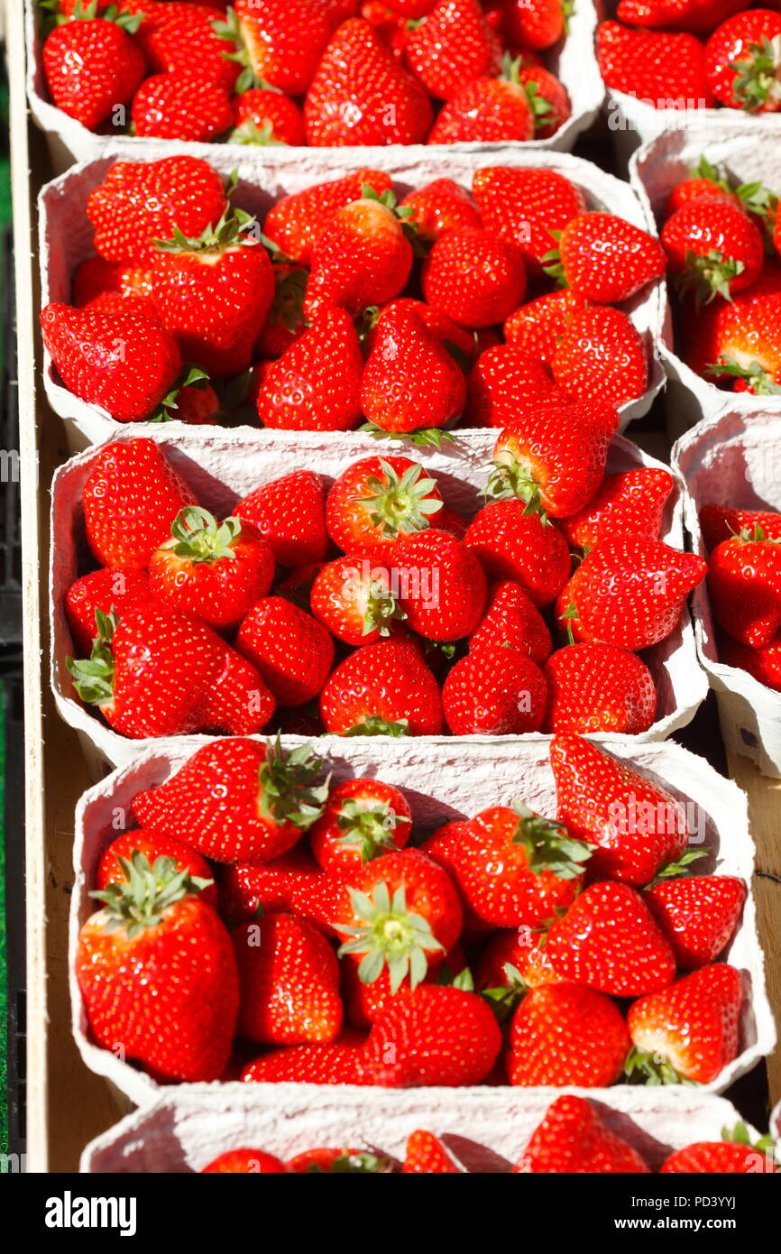 Fresh Strawberries in bowls on a market stall Stock Photo - Alamy