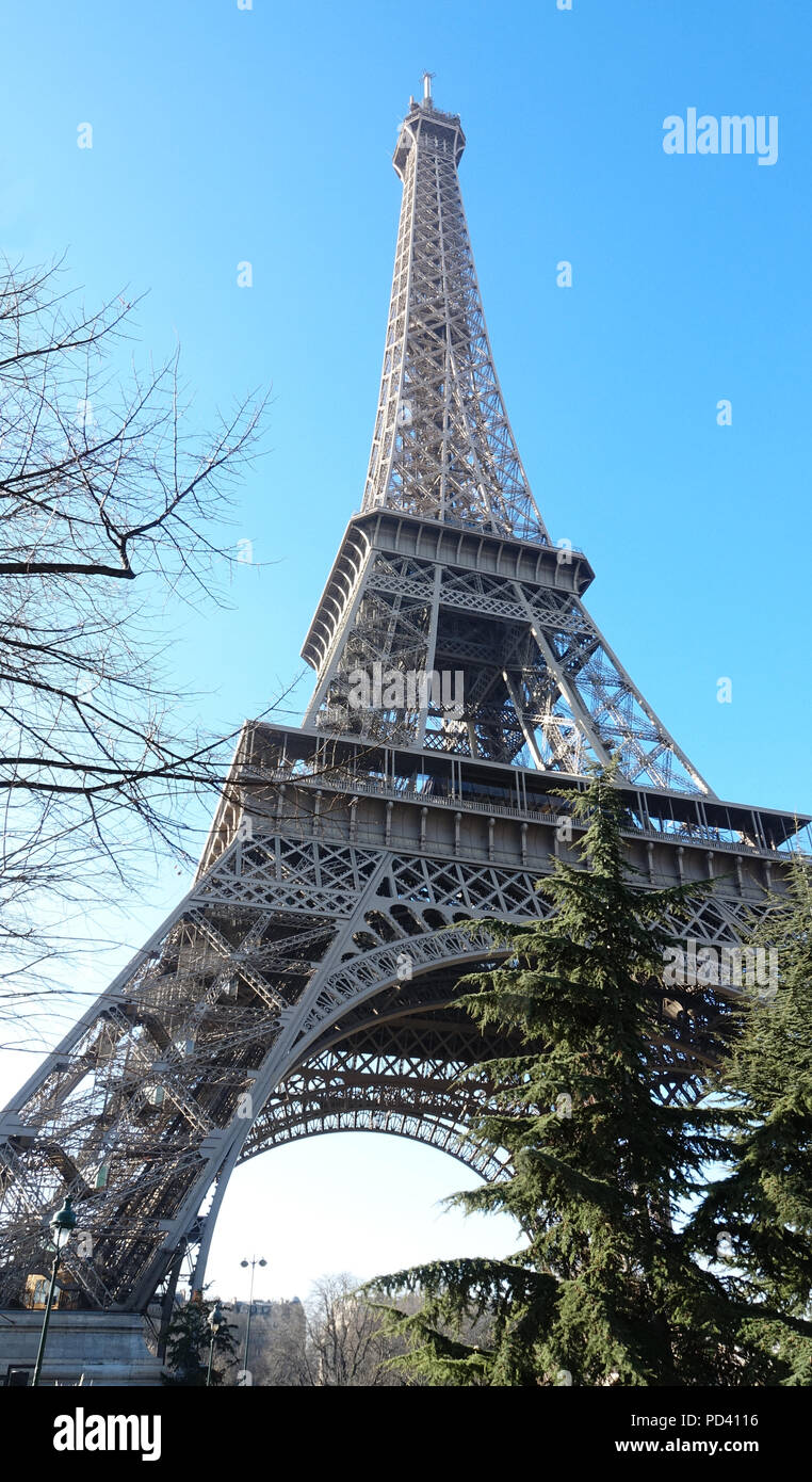 Eiffel tower between some trees with a blue sky Stock Photo