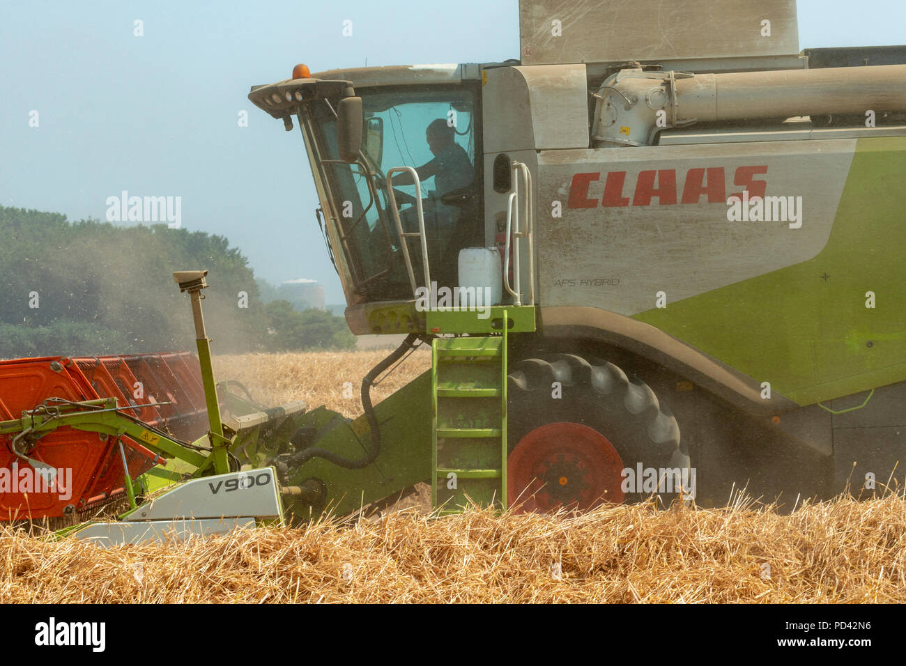 Class Lexion 740 combiner harvester Stock Photo