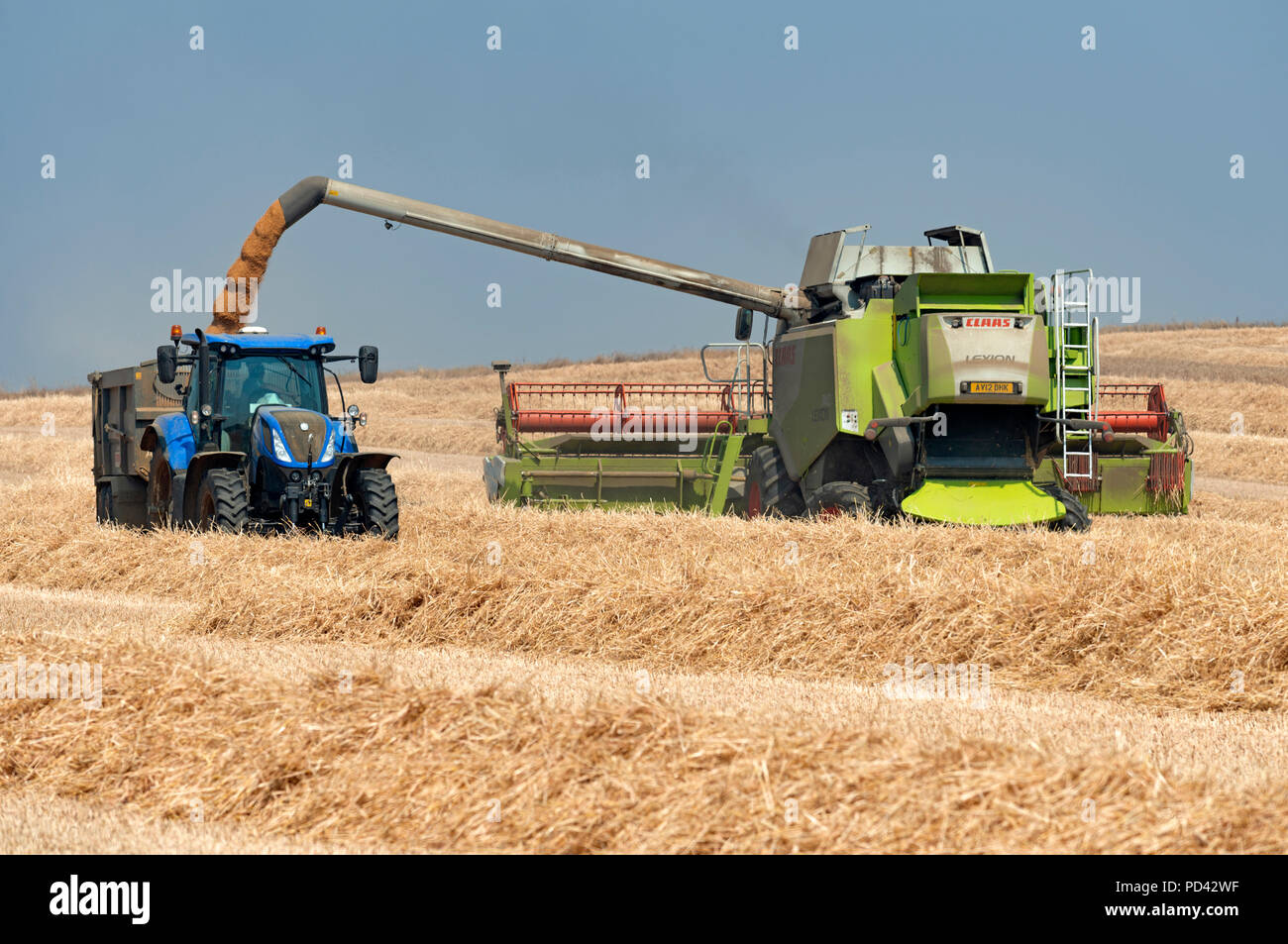 Class Lexion 740 combiner harvester Stock Photo