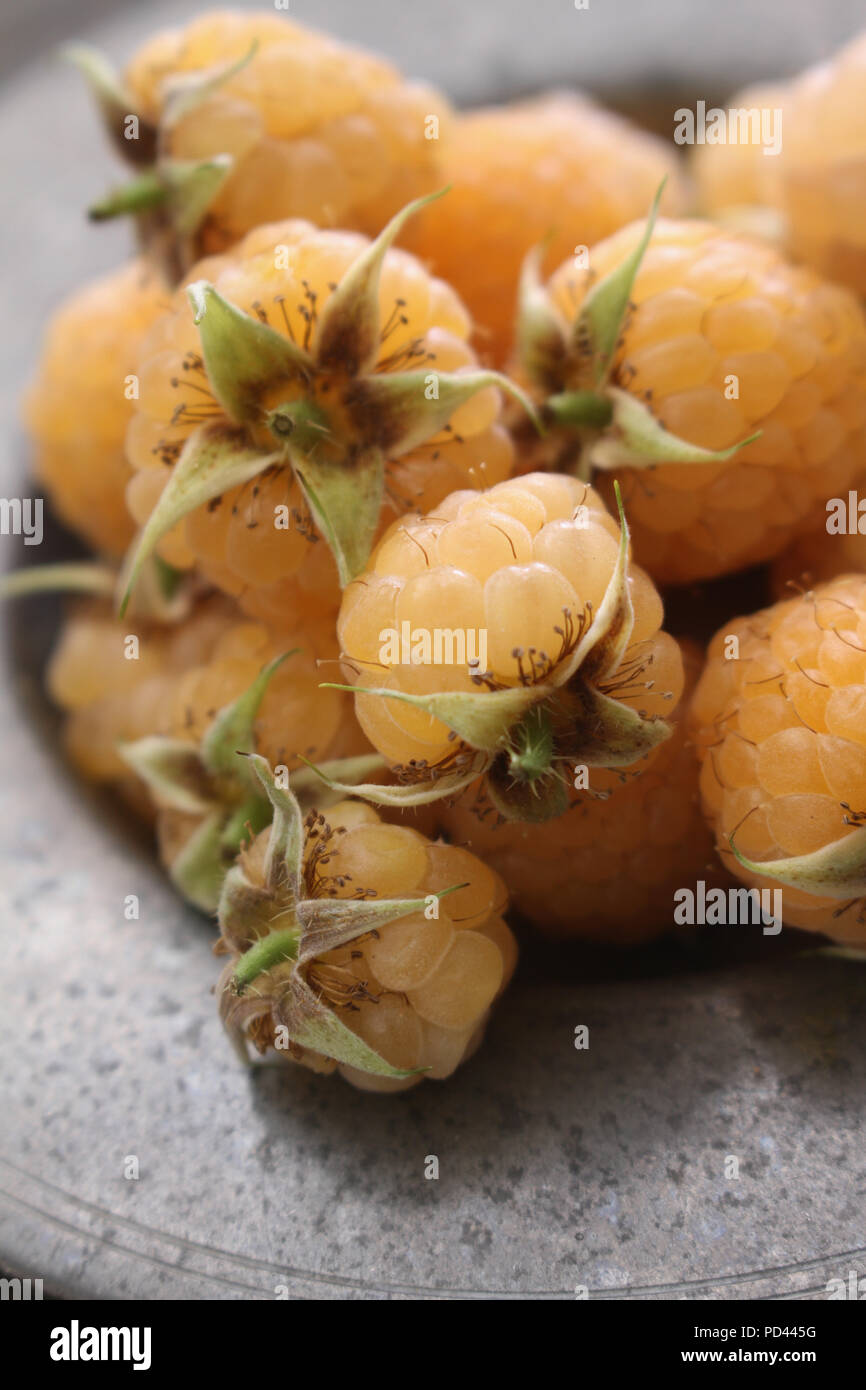 All Gold Raspberries fresh ripe gold raspberries Stock Photo - Alamy