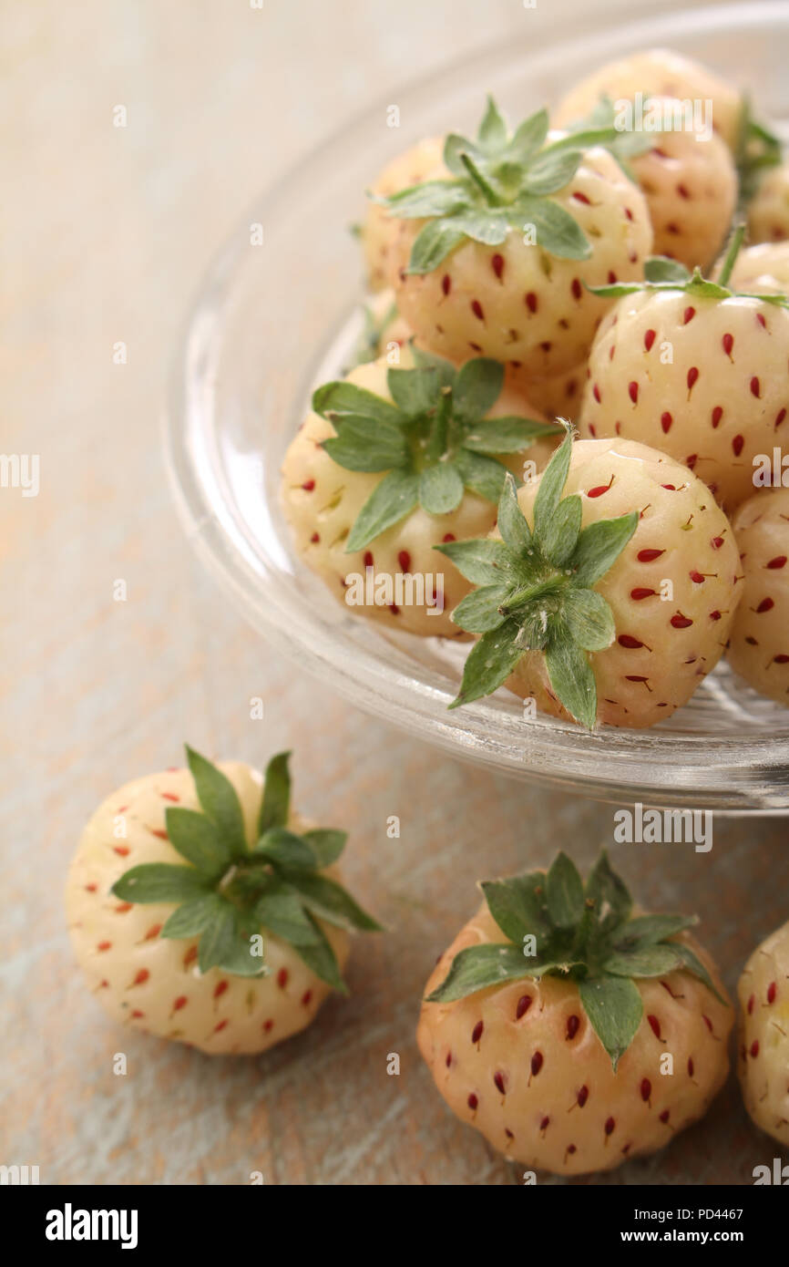 fresh pine-berry fruit Stock Photo