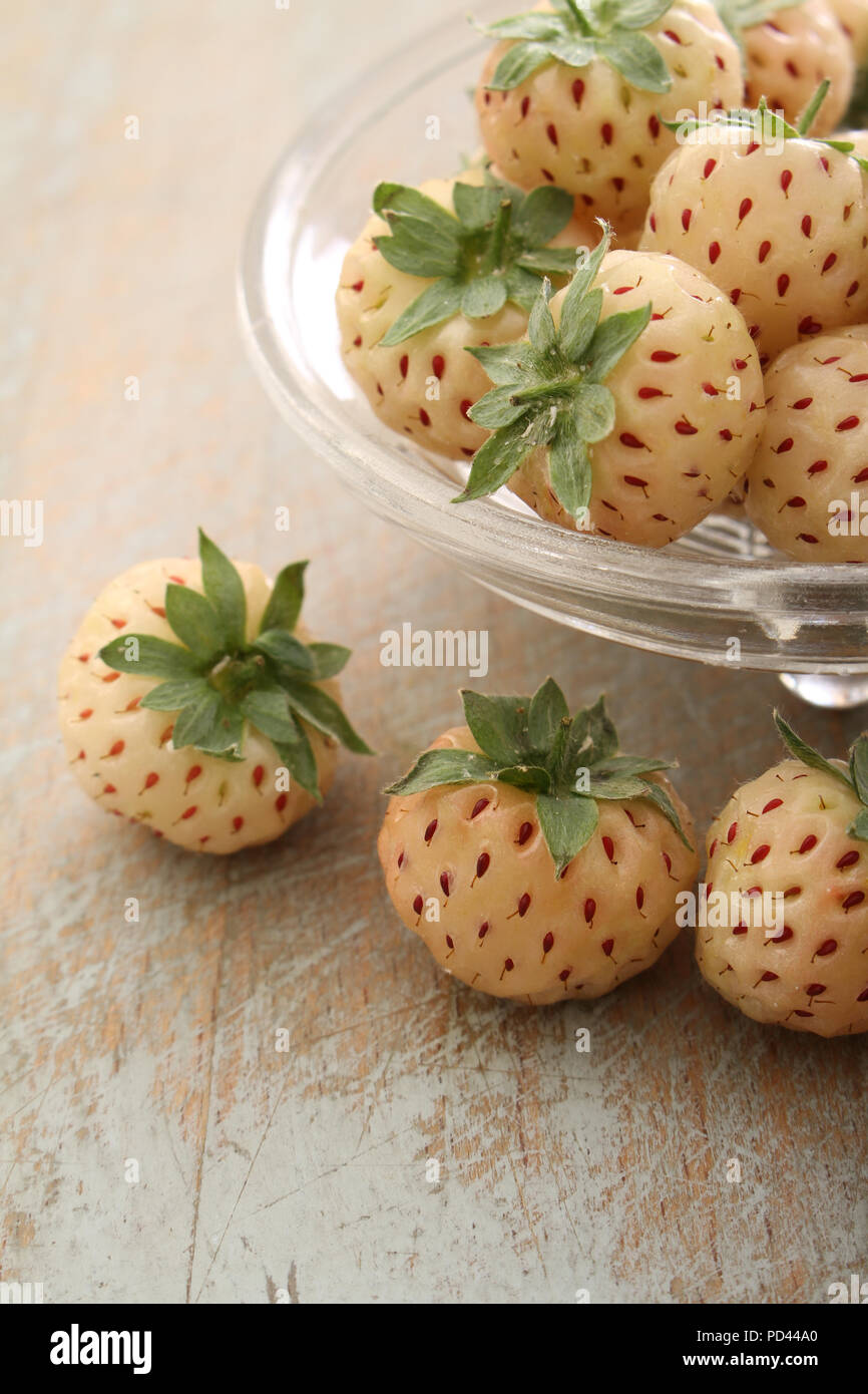 fresh pine-berry fruit Stock Photo