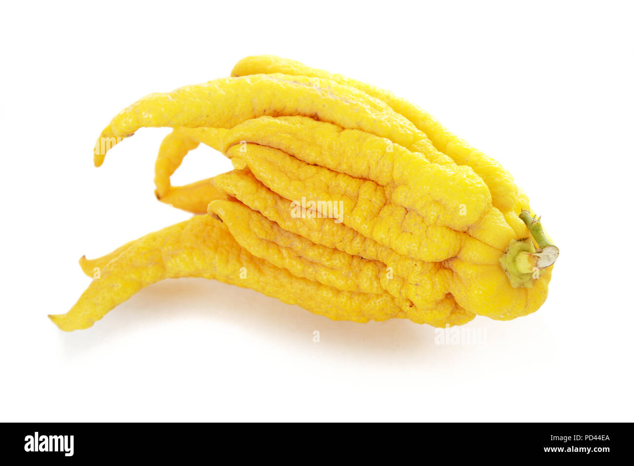 Buddhas fingers Cut Out Stock Images & Pictures Alamy