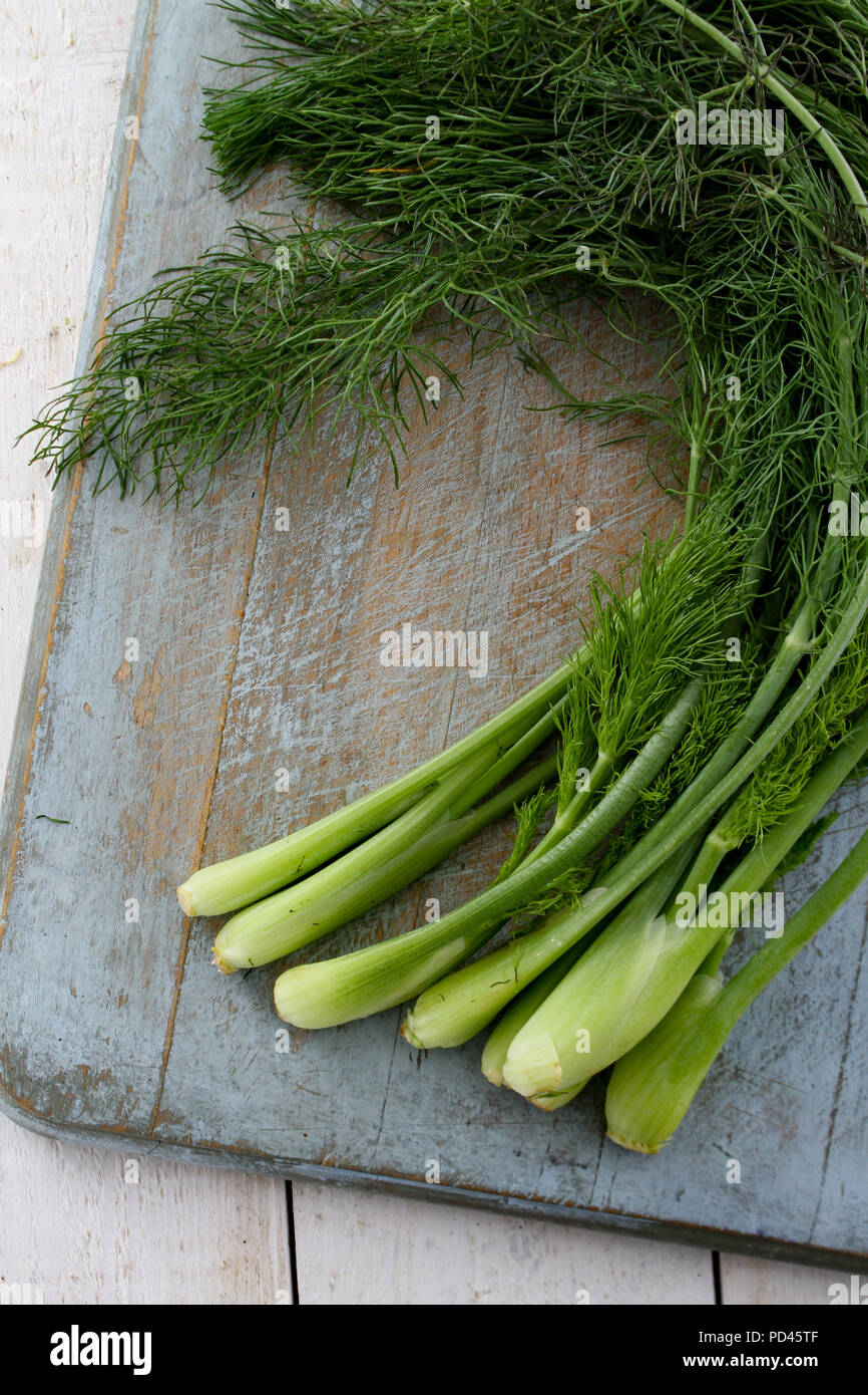 preparing baby fennel Stock Photo Alamy