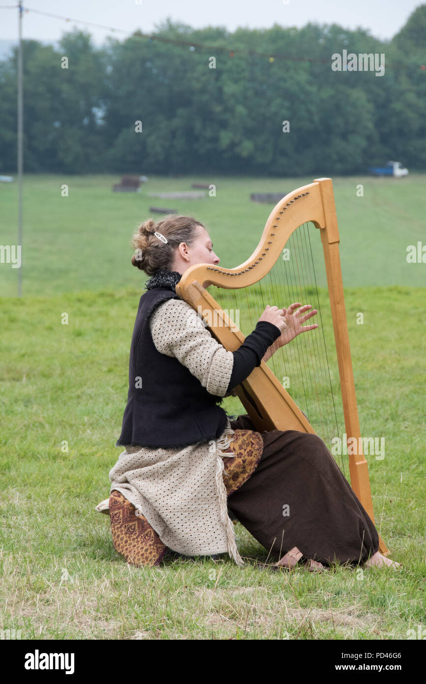 Green harp hires stock photography and images Alamy