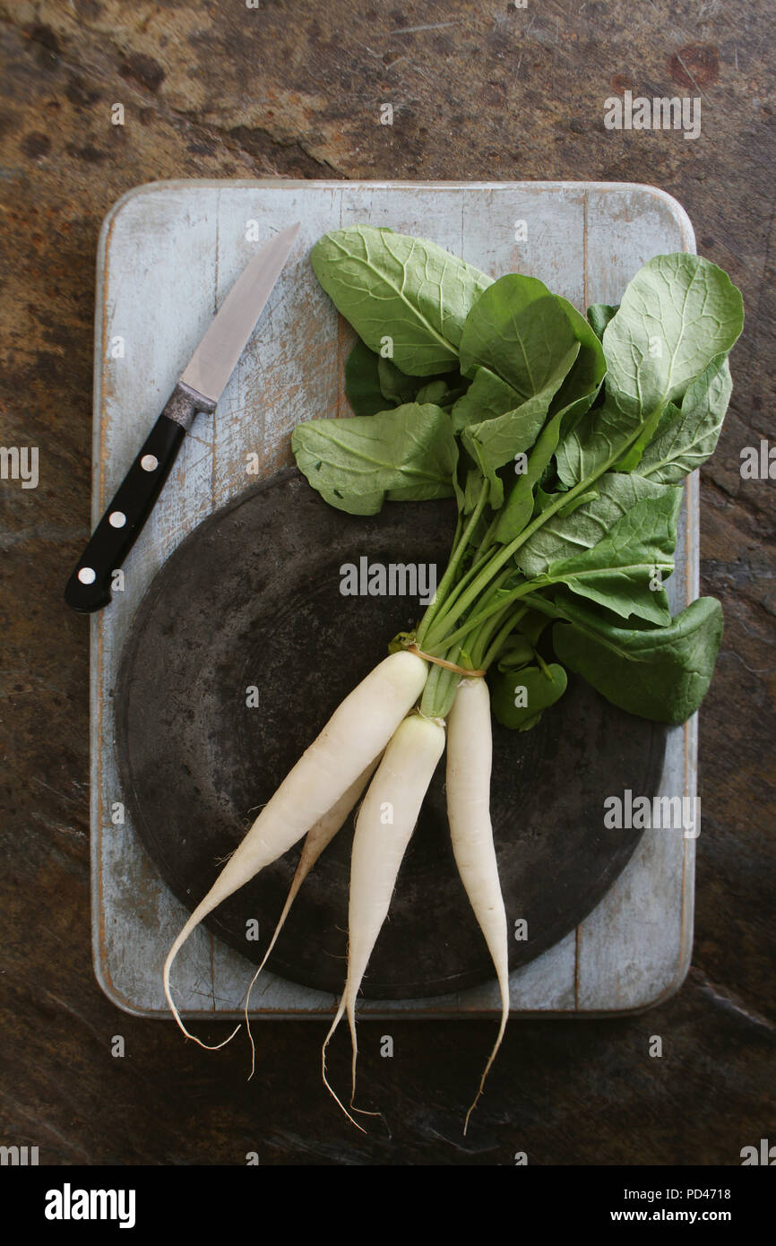 preparing fresh white radishes Stock Photo Alamy