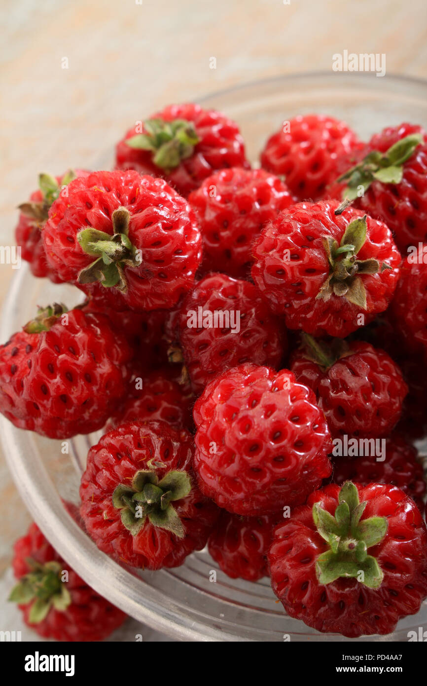 hybrid strasberry fruit in dish Stock Photo